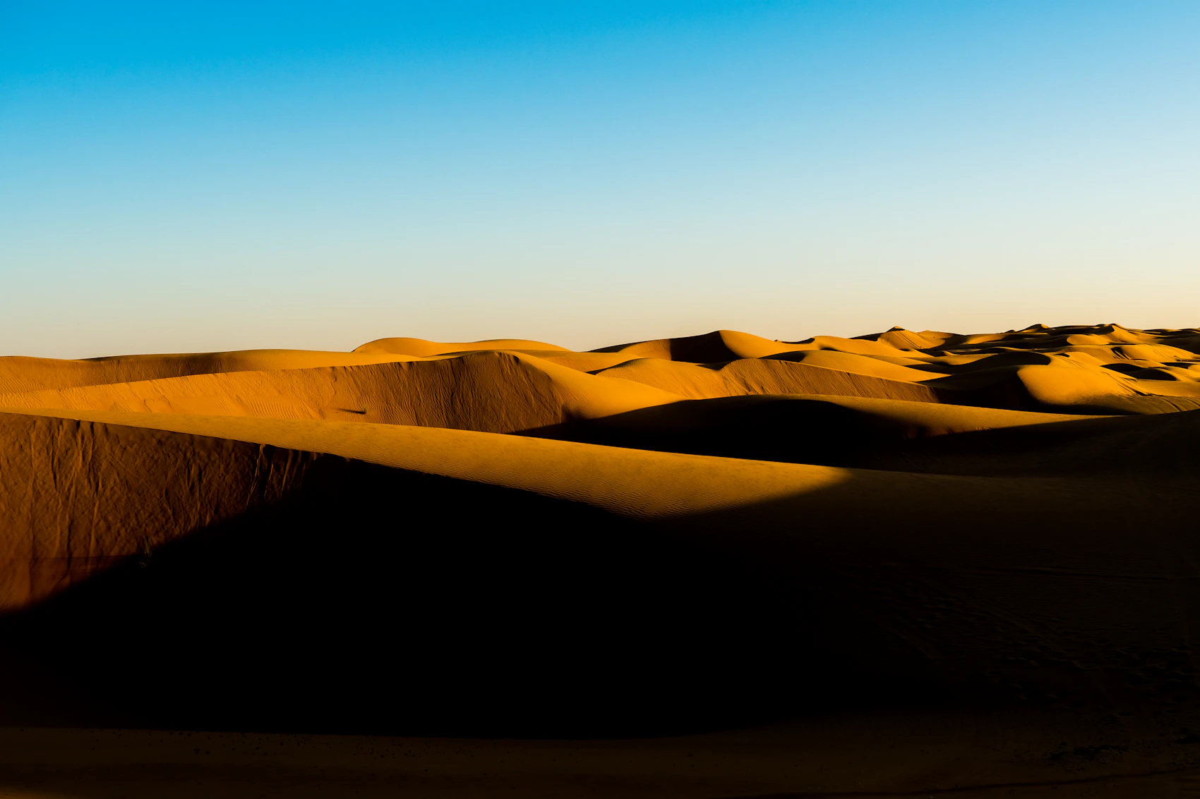 Golden dunes casting long shadows across the Wahiba Sands in Oman