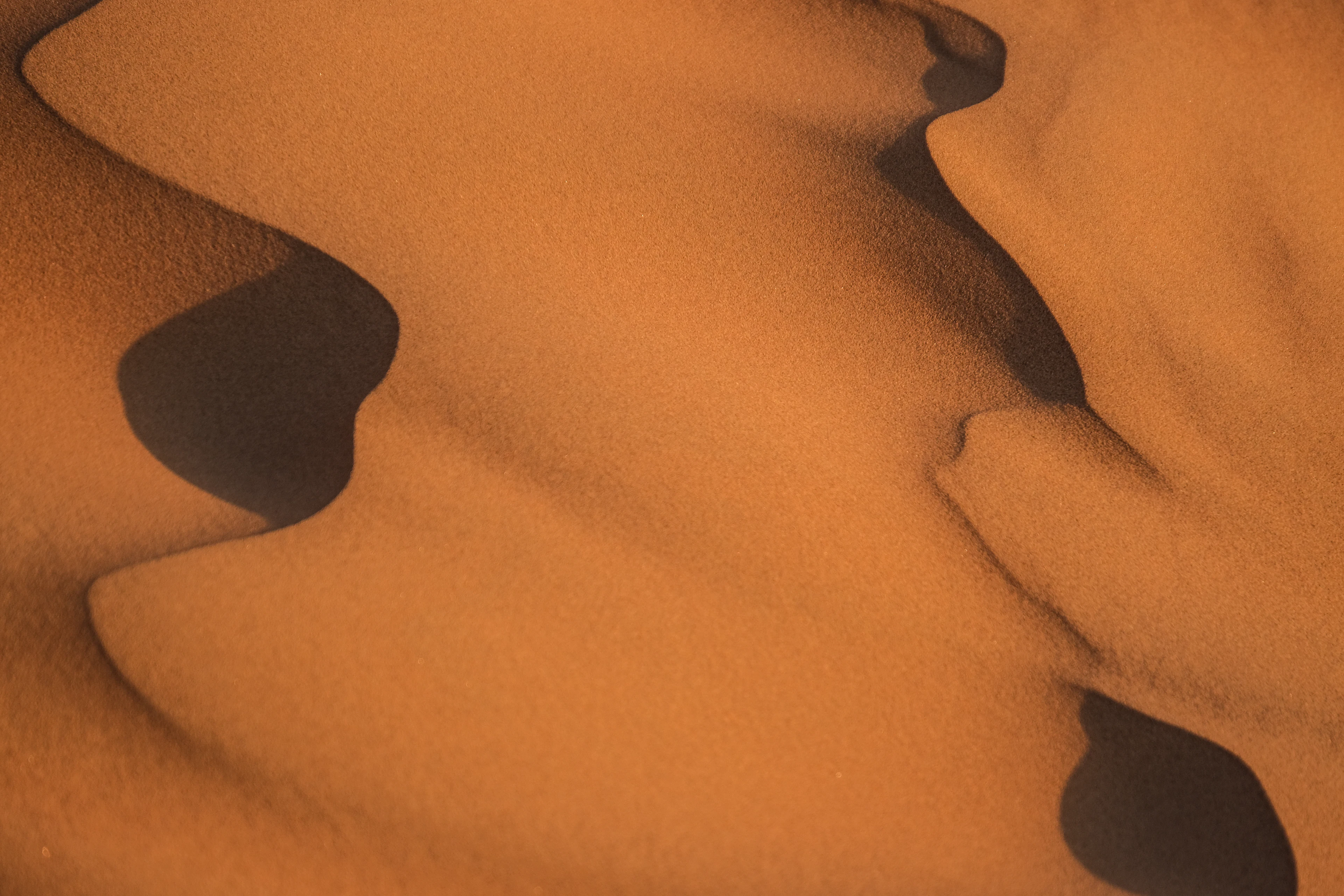 The shadow of a person walking across rippled sand in the Wahiba desert, Oman