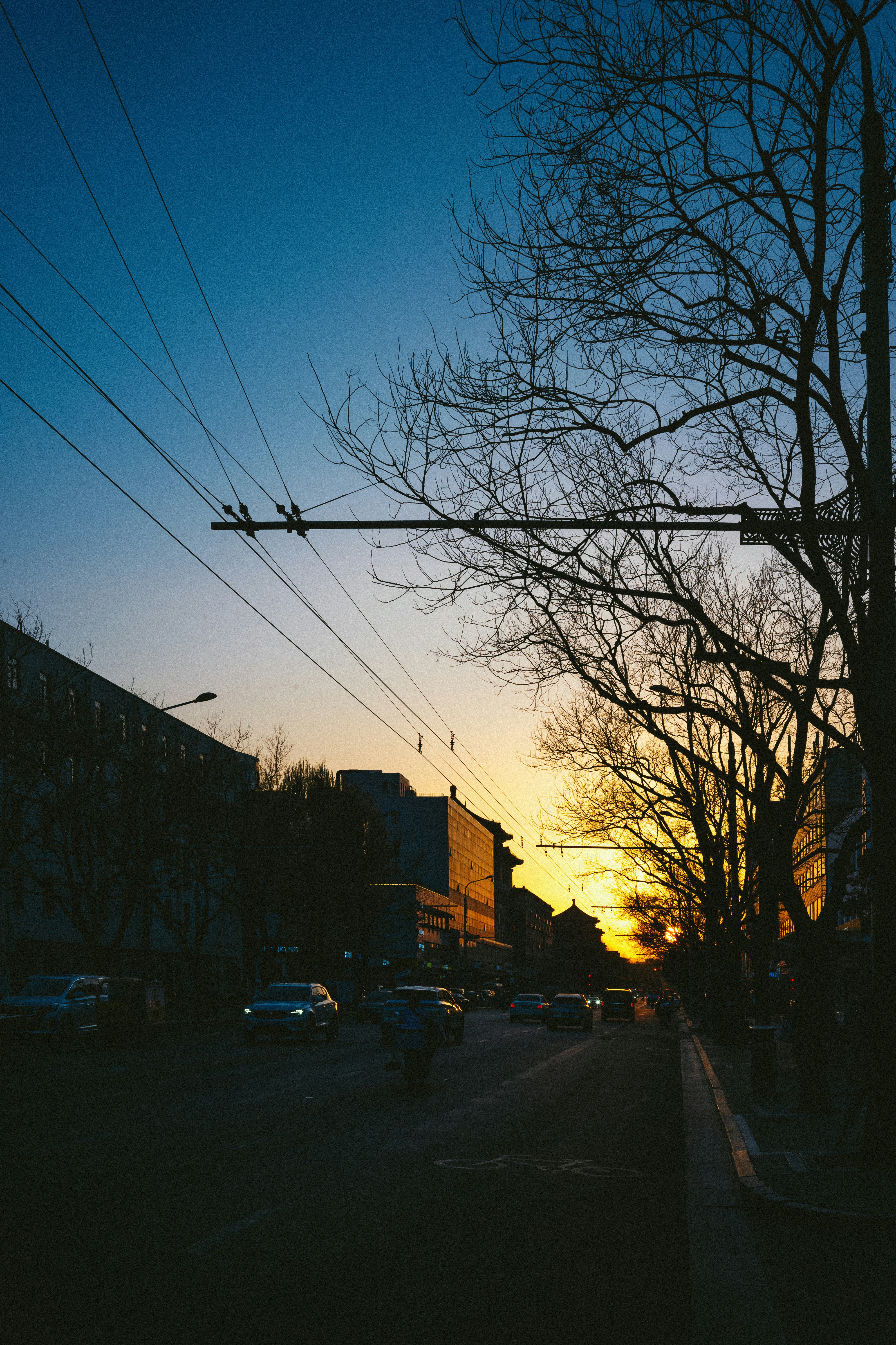 Photo by tommaomaoer