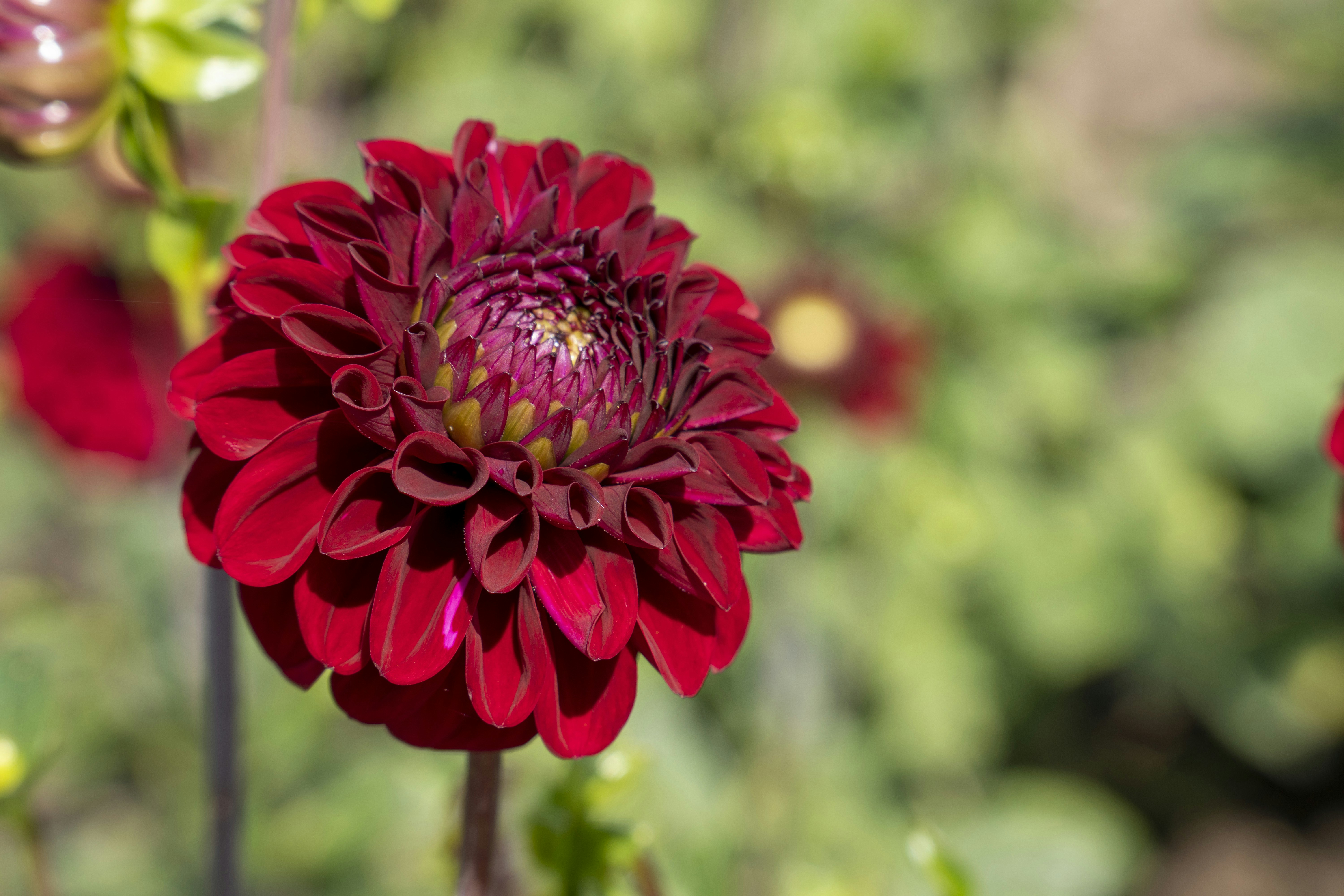 Photo by horst_joachims