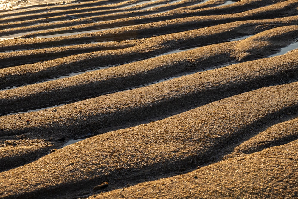 a row of tire tracks in the sand