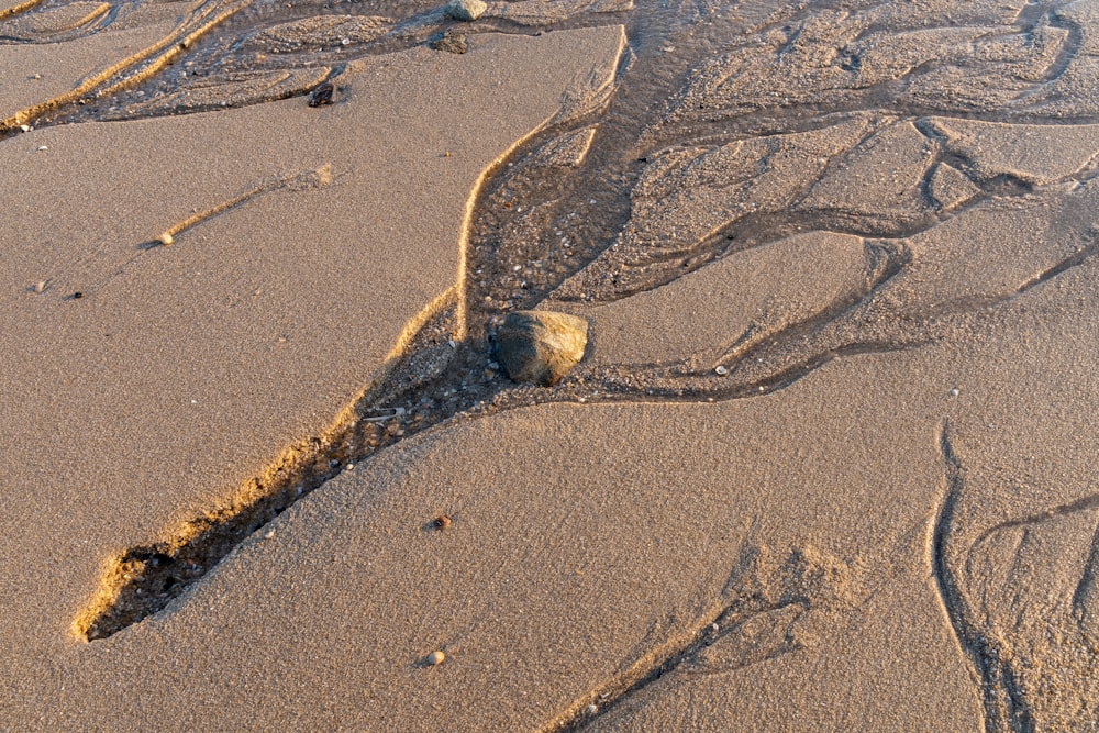 a sandy beach with a rock in the sand