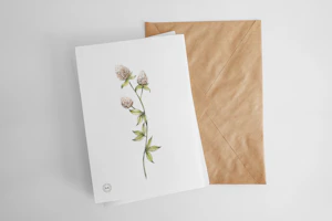 A cozy scene of a handwritten wedding card next to a small potted plant, symbolizing growth and love.