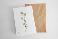 A white greeting card with a delicate illustration of a botanical plant, featuring green leaves and beige flowers, is placed on a brown kraft envelope. Both are set against a neutral background.