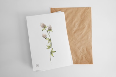 A white greeting card with a delicate illustration of a botanical plant, featuring green leaves and beige flowers, is placed on a brown kraft envelope. Both are set against a neutral background.