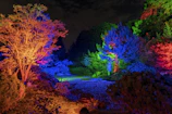 Nighttime outdoor lighting highlighting a sustainable garden design.