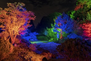 A vibrant outdoor lighting setup enhancing a garden space.