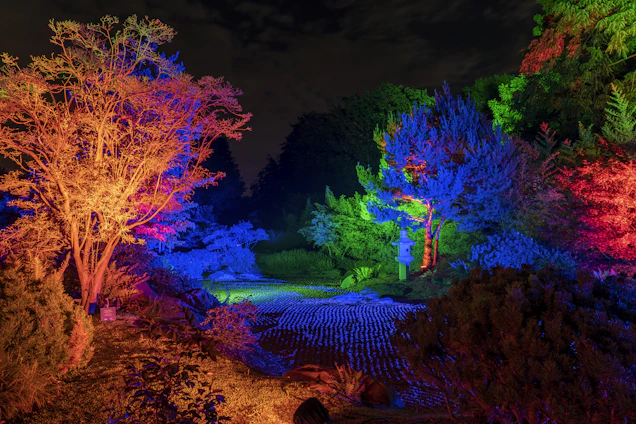 A serene backyard illuminated by color-changing outdoor lights with integrated speakers subtly placed among the garden.
