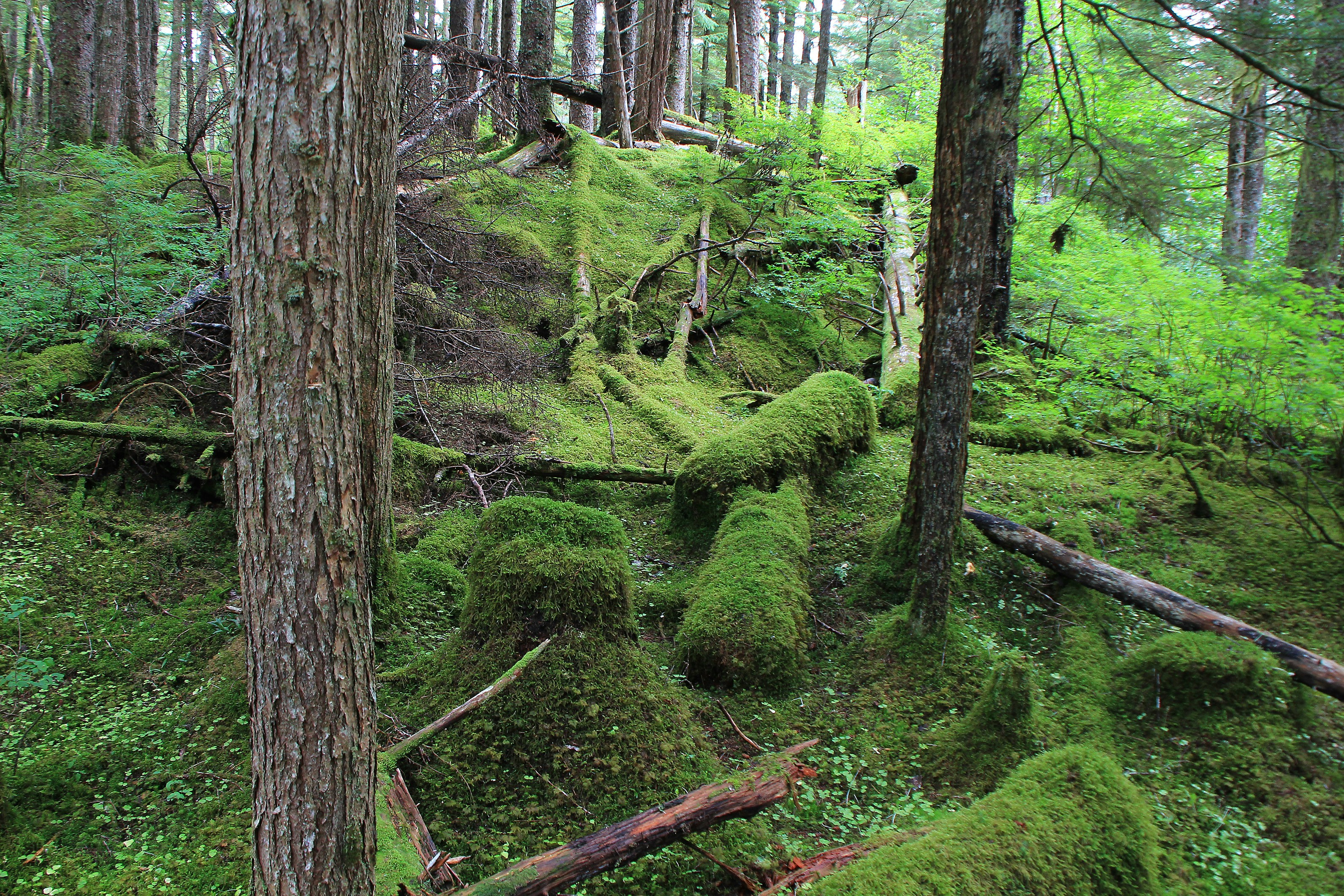 Photo by horst_joachims