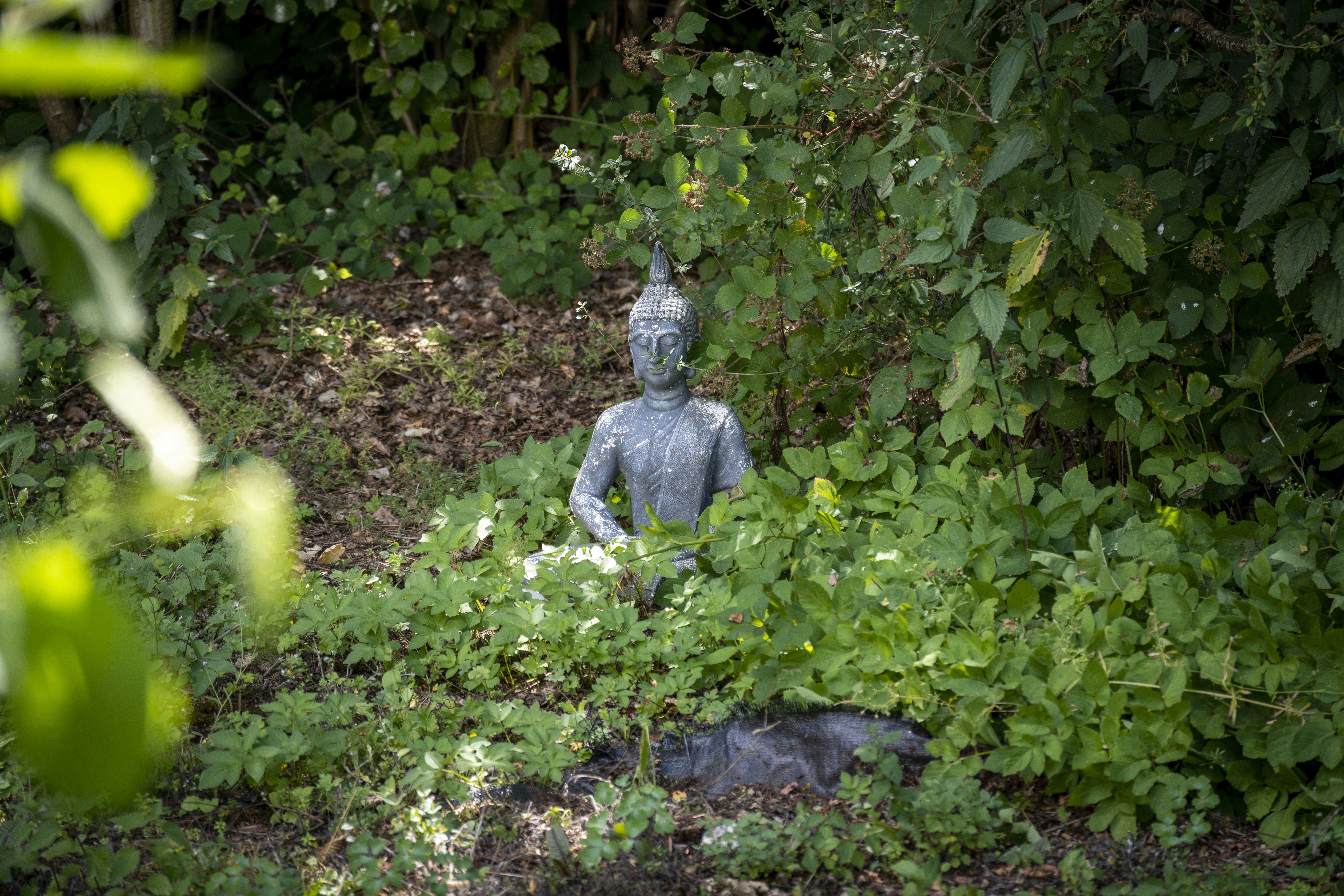 Person in night garden meditation peace
