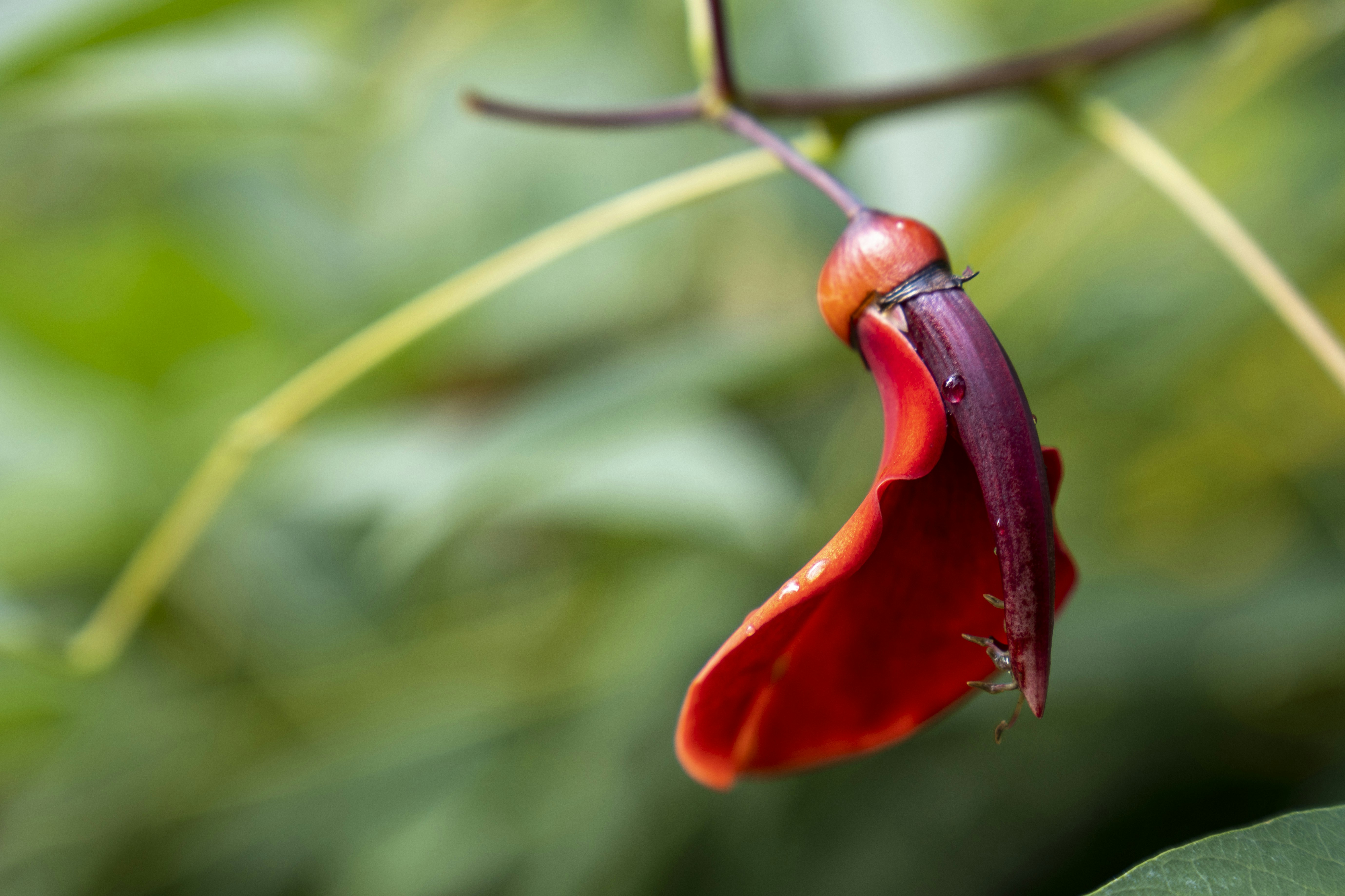 Photo by horst_joachims