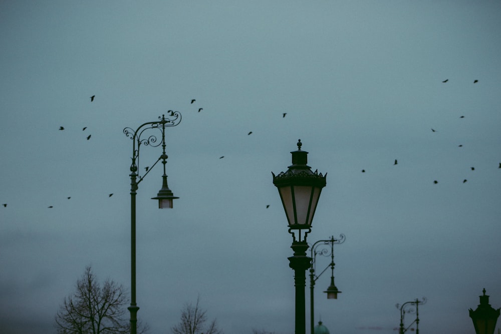 a group of birds flying over a street light