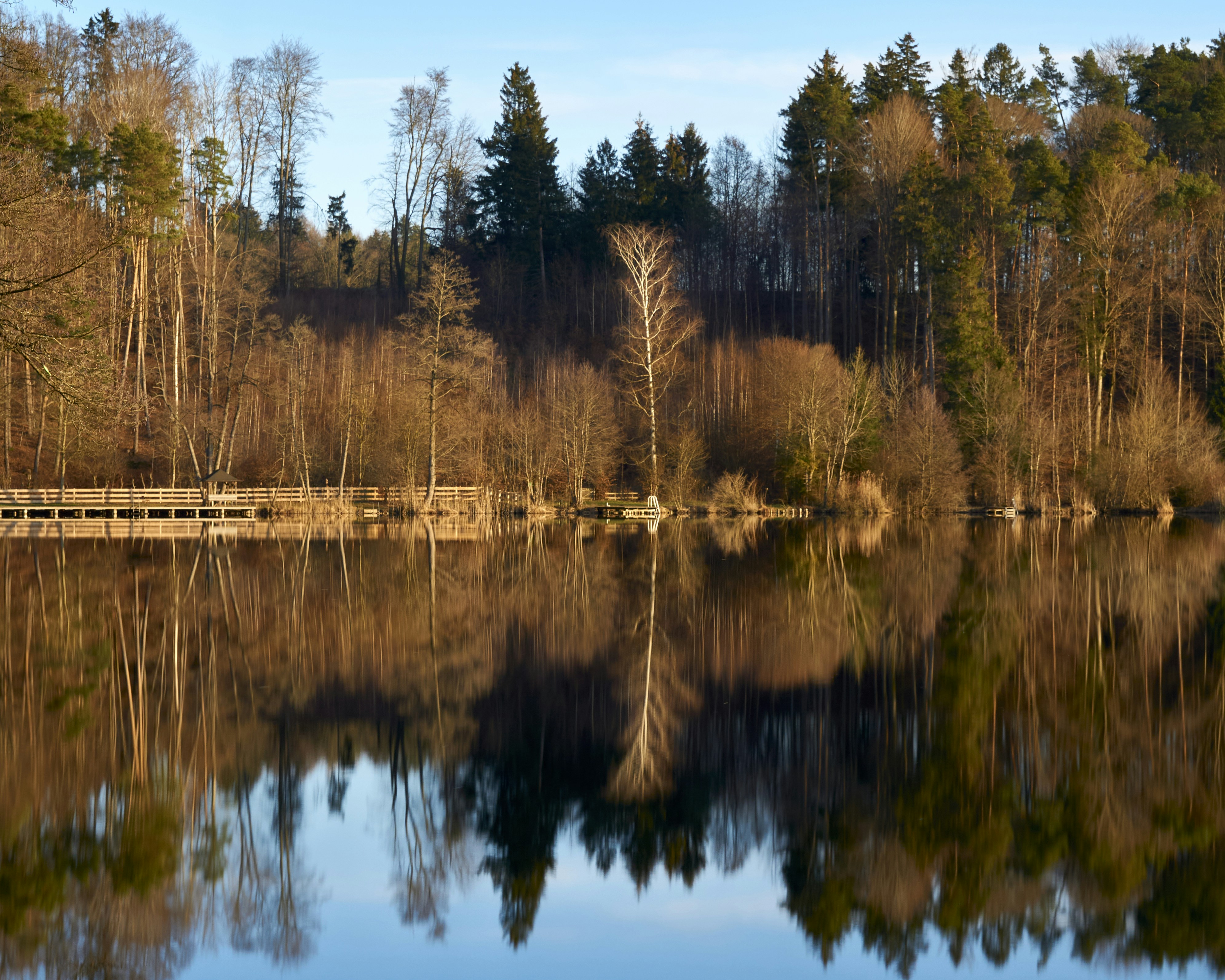 Photo by artemisdesign