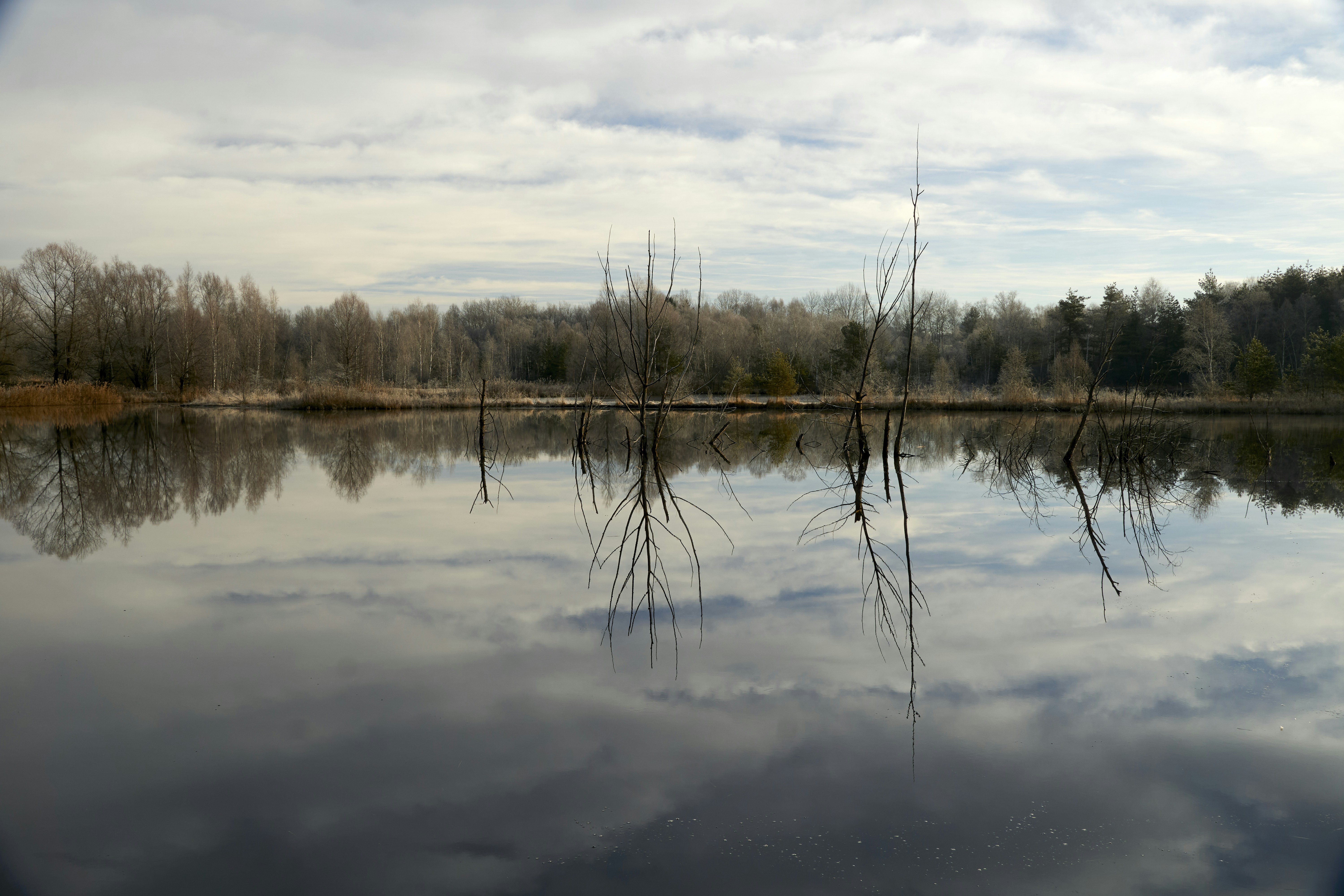 Photo by artemisdesign