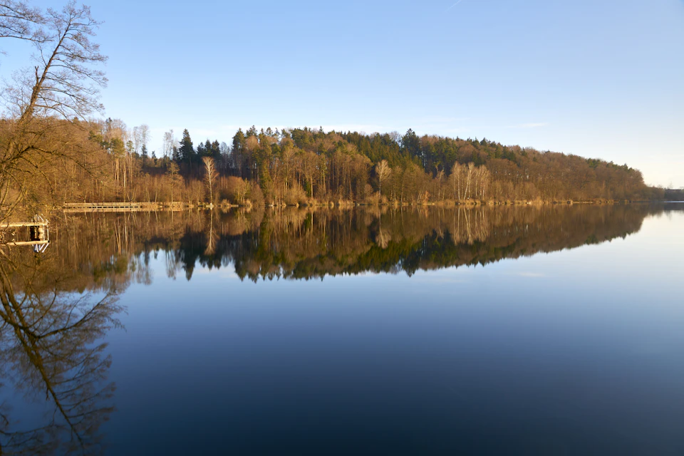 Serene lake surrounded by lush green trees and shrubs with clear blue sky above