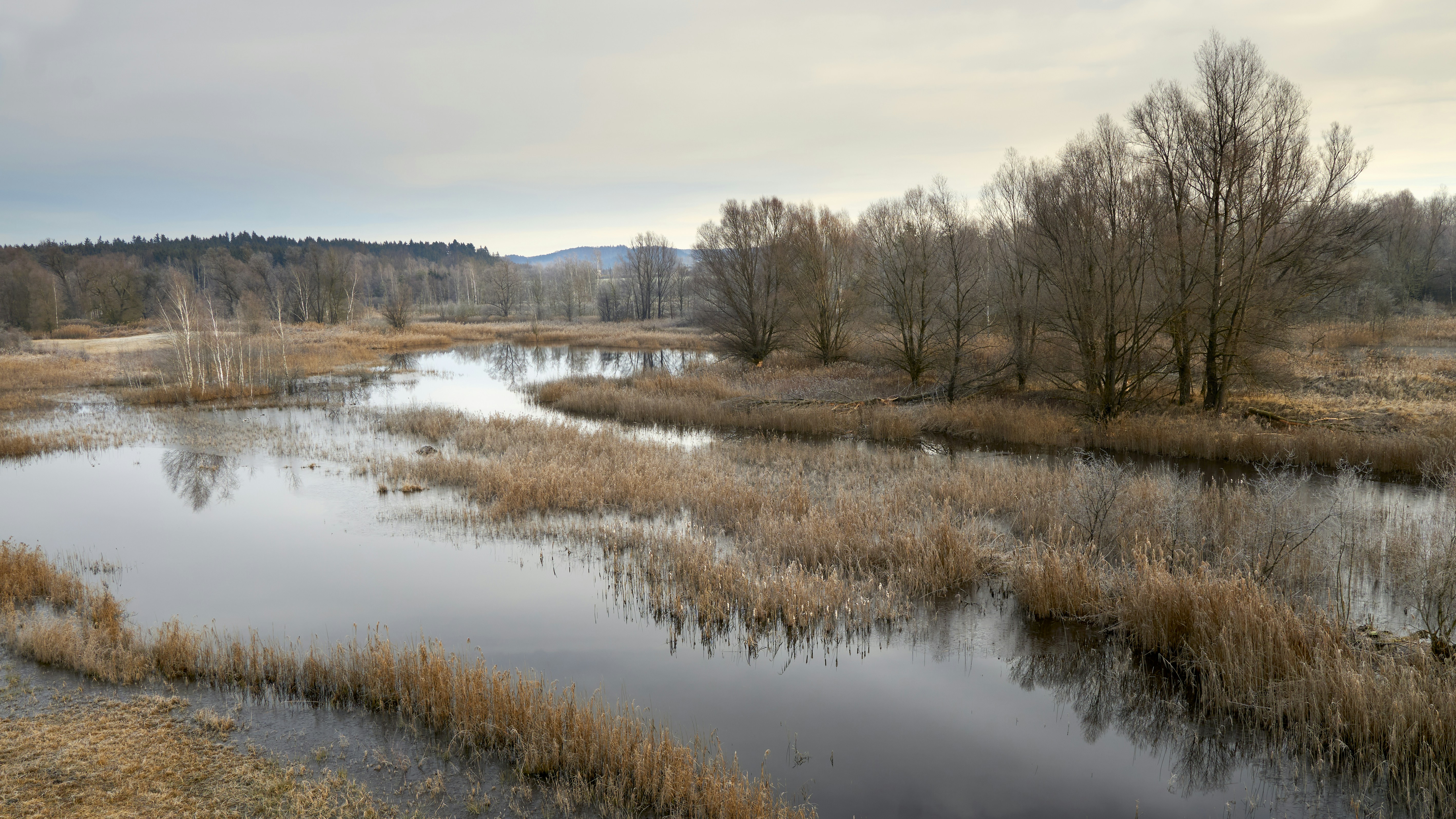 Photo by artemisdesign