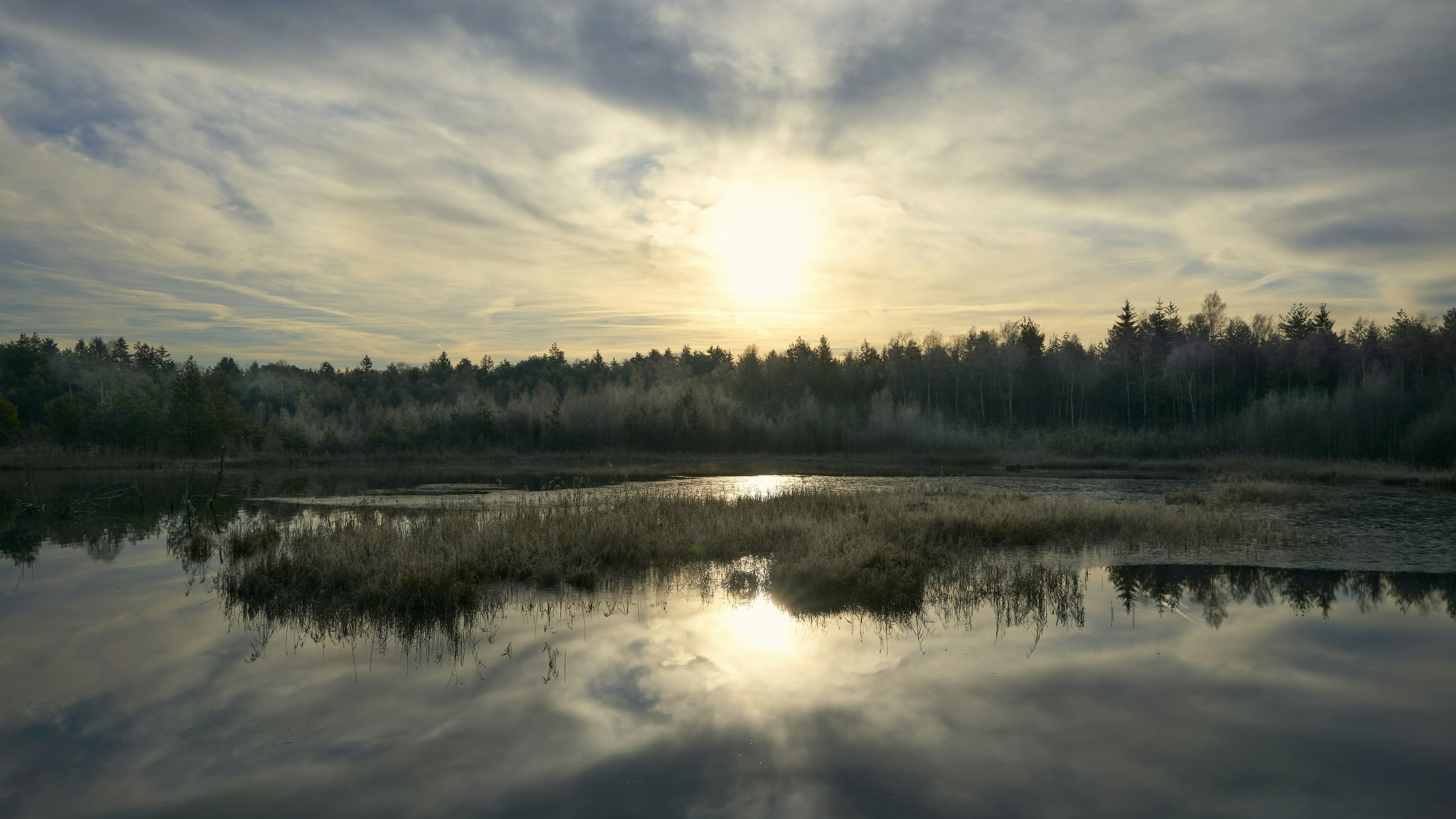 Photo by artemisdesign