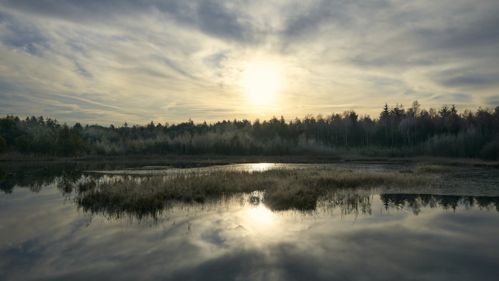 a body of water surrounded by trees under a cloudy sky