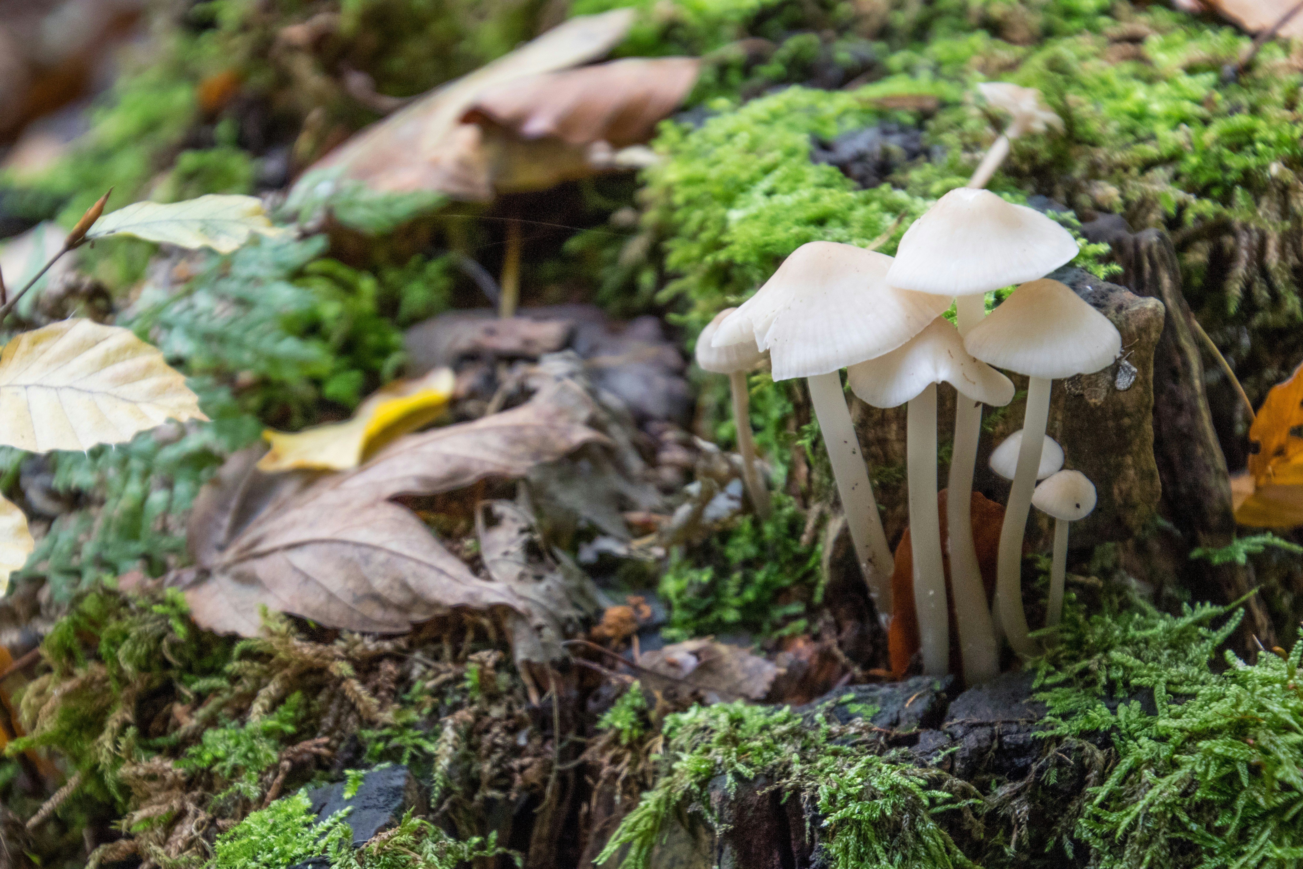 Photo by horst_joachims