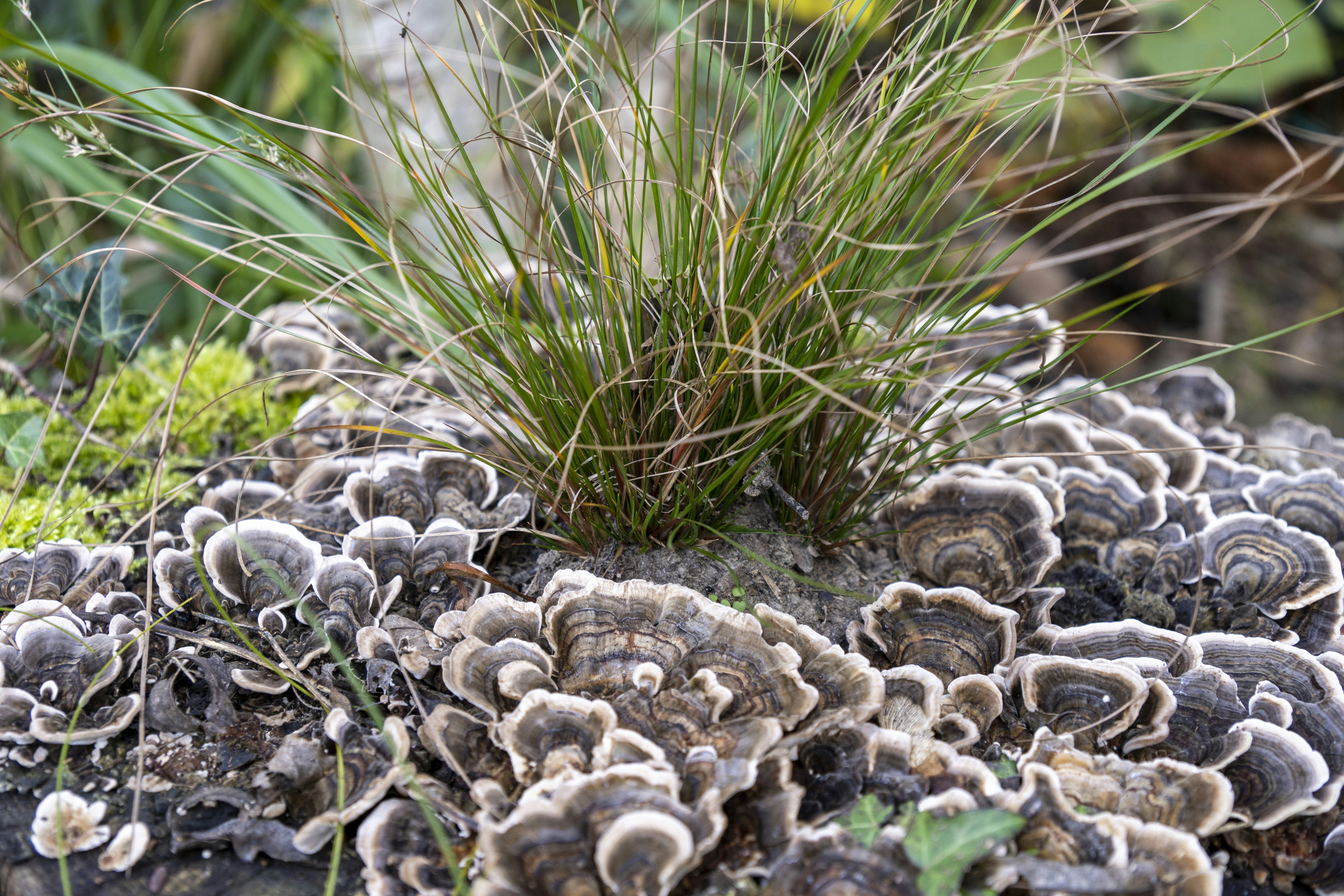 Photo by horst_joachims