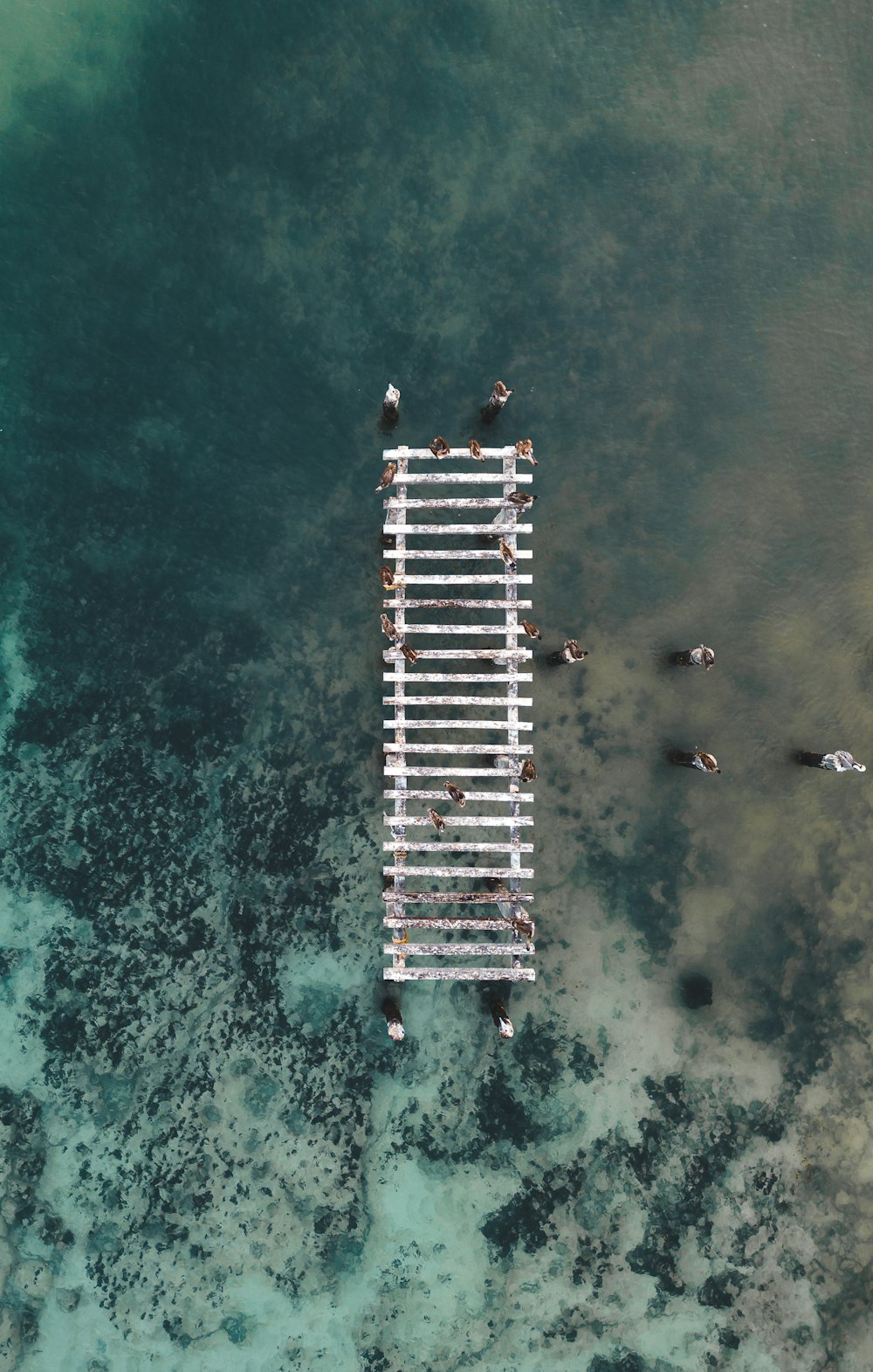 an aerial view of a dock in the ocean