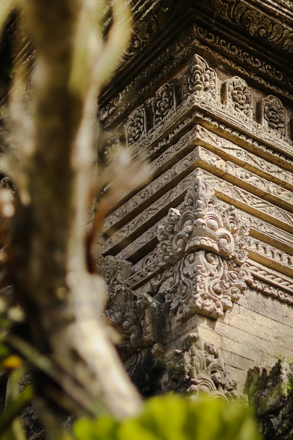 a close up of a building with a tree in the foreground