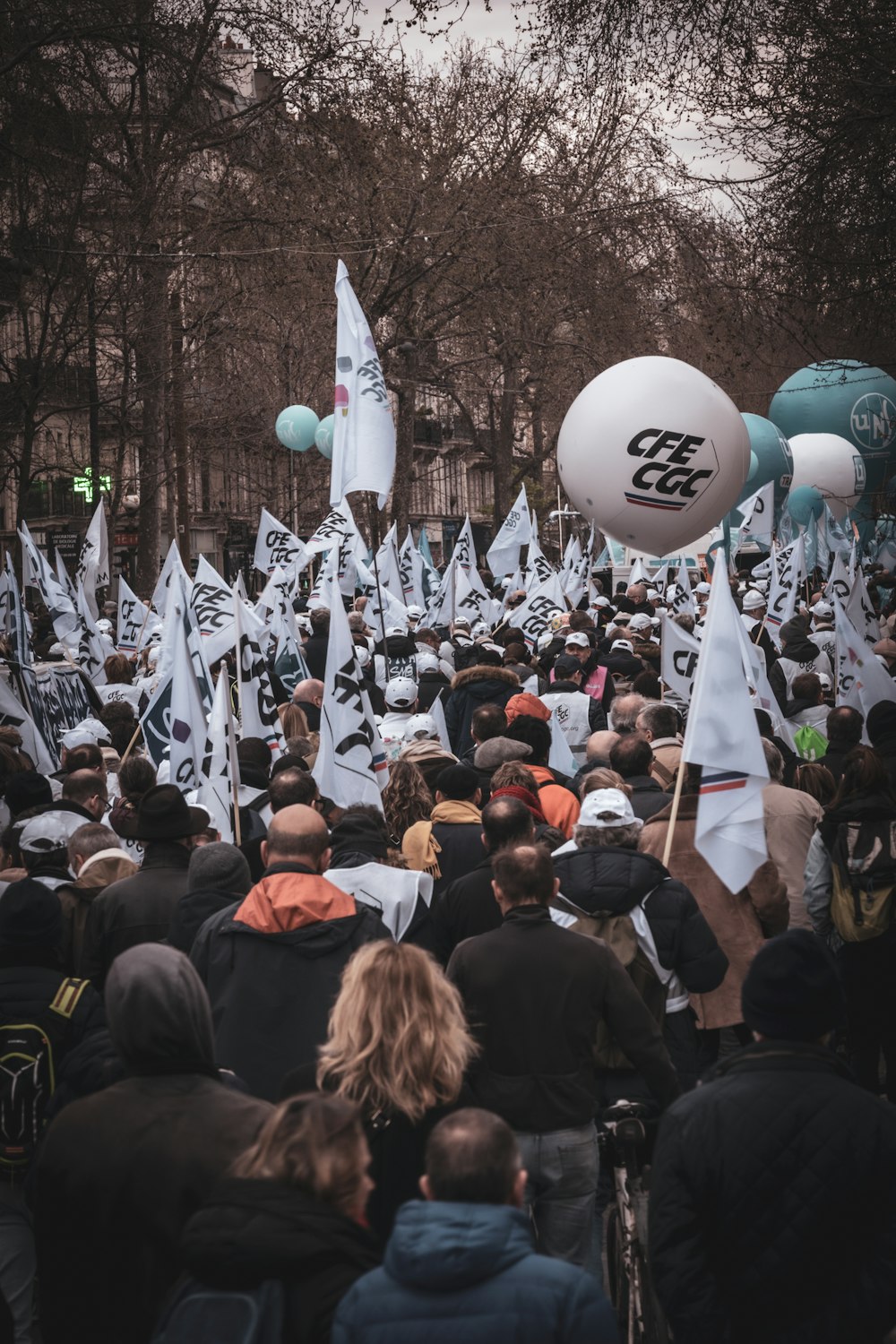 a large group of people with flags and balloons