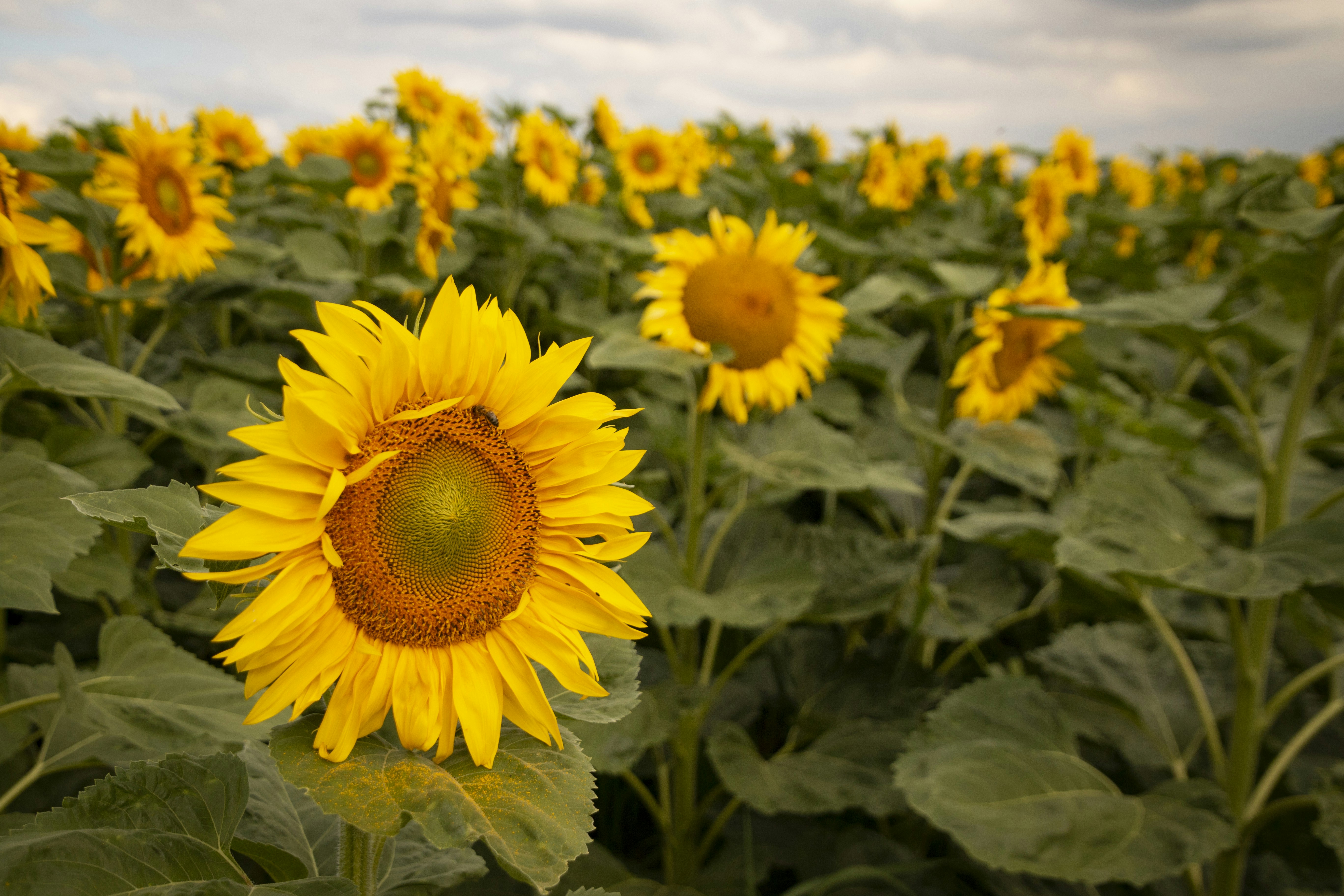 Photo by horst_joachims