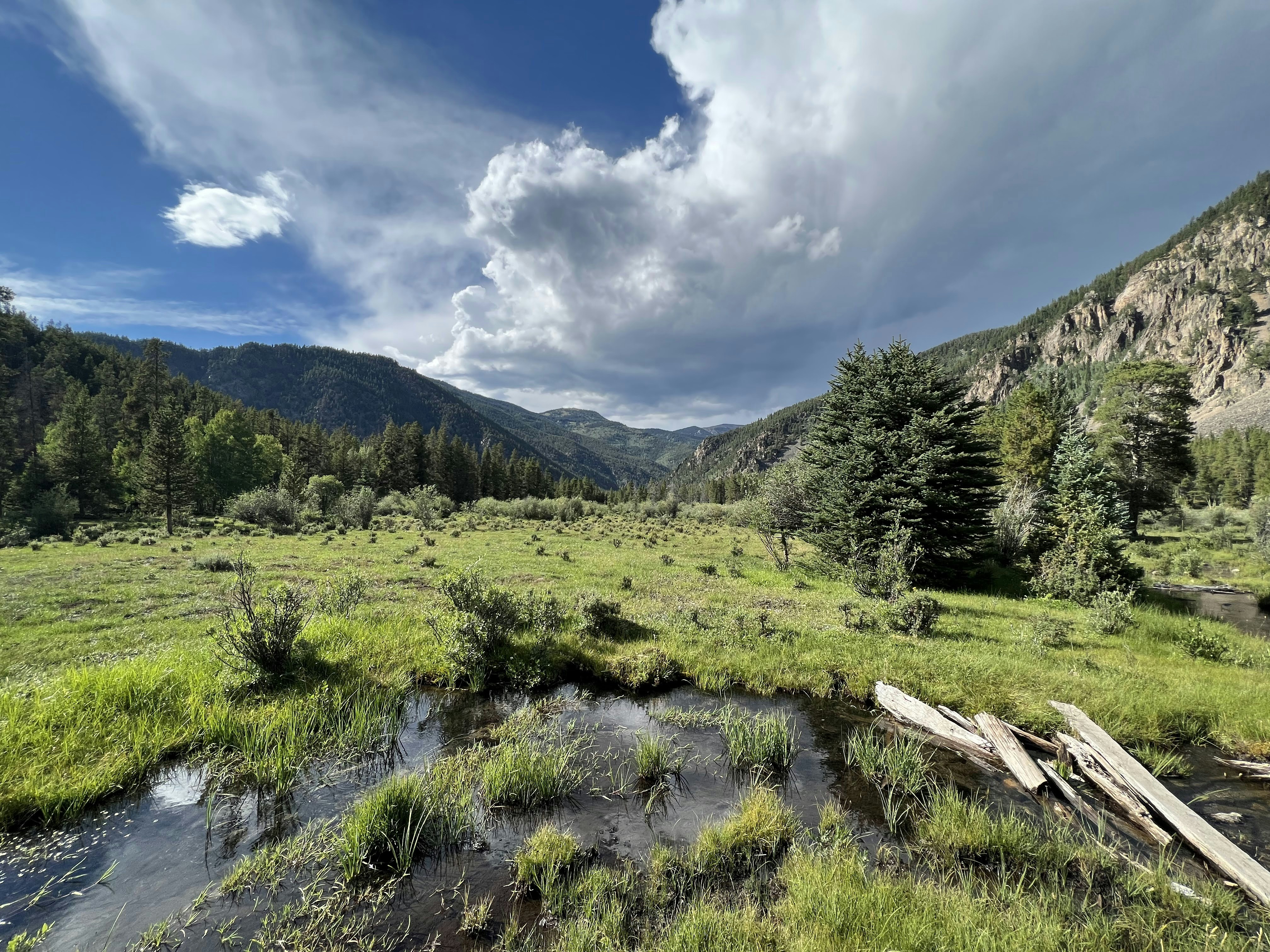Colorado