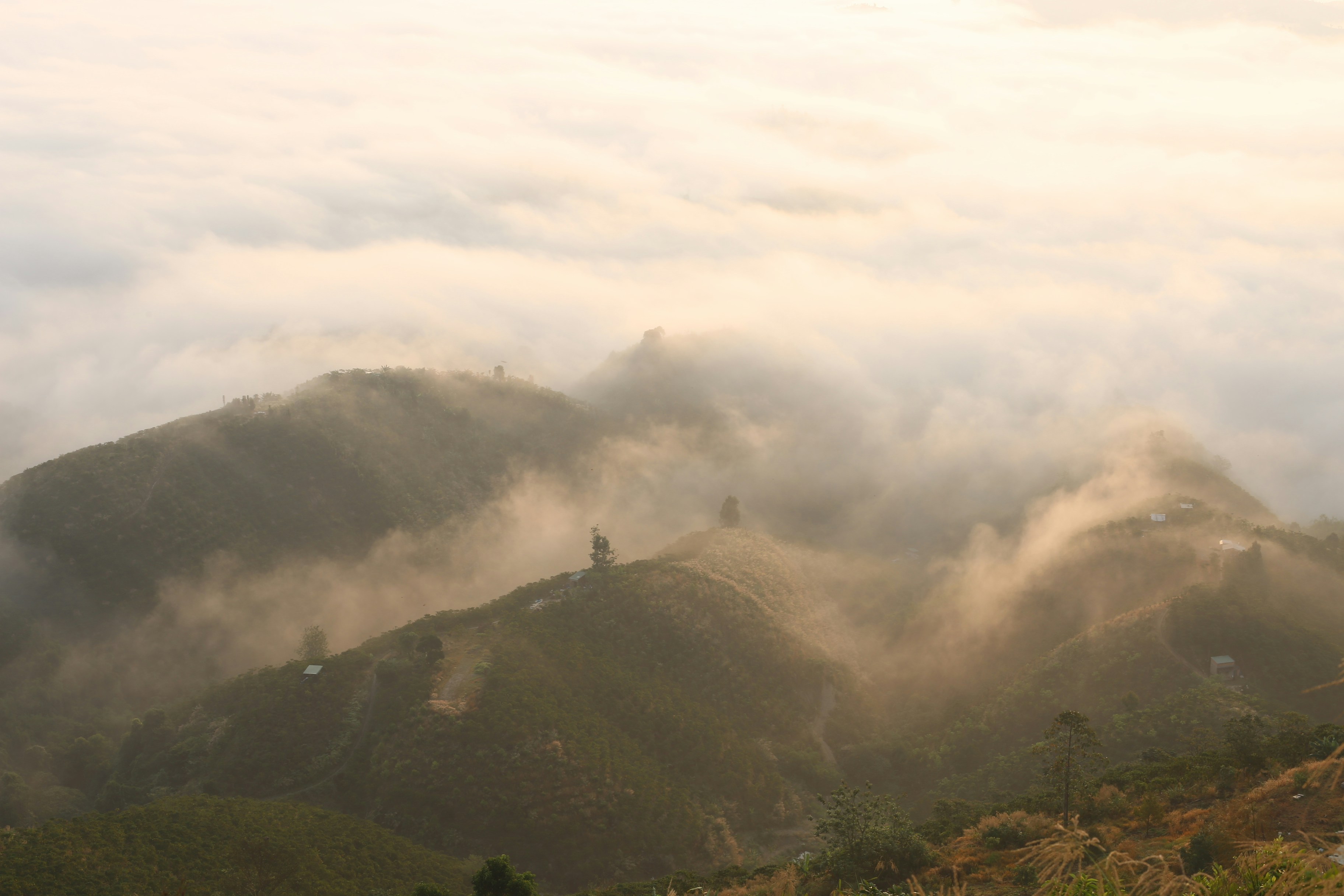 Photo by quangdieu195