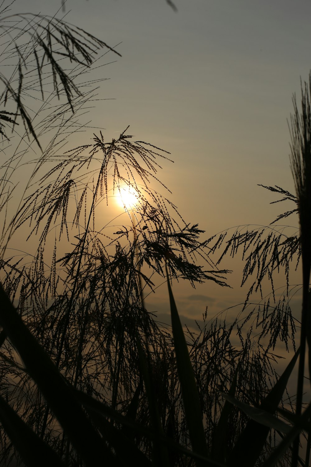 the sun is setting over a body of water