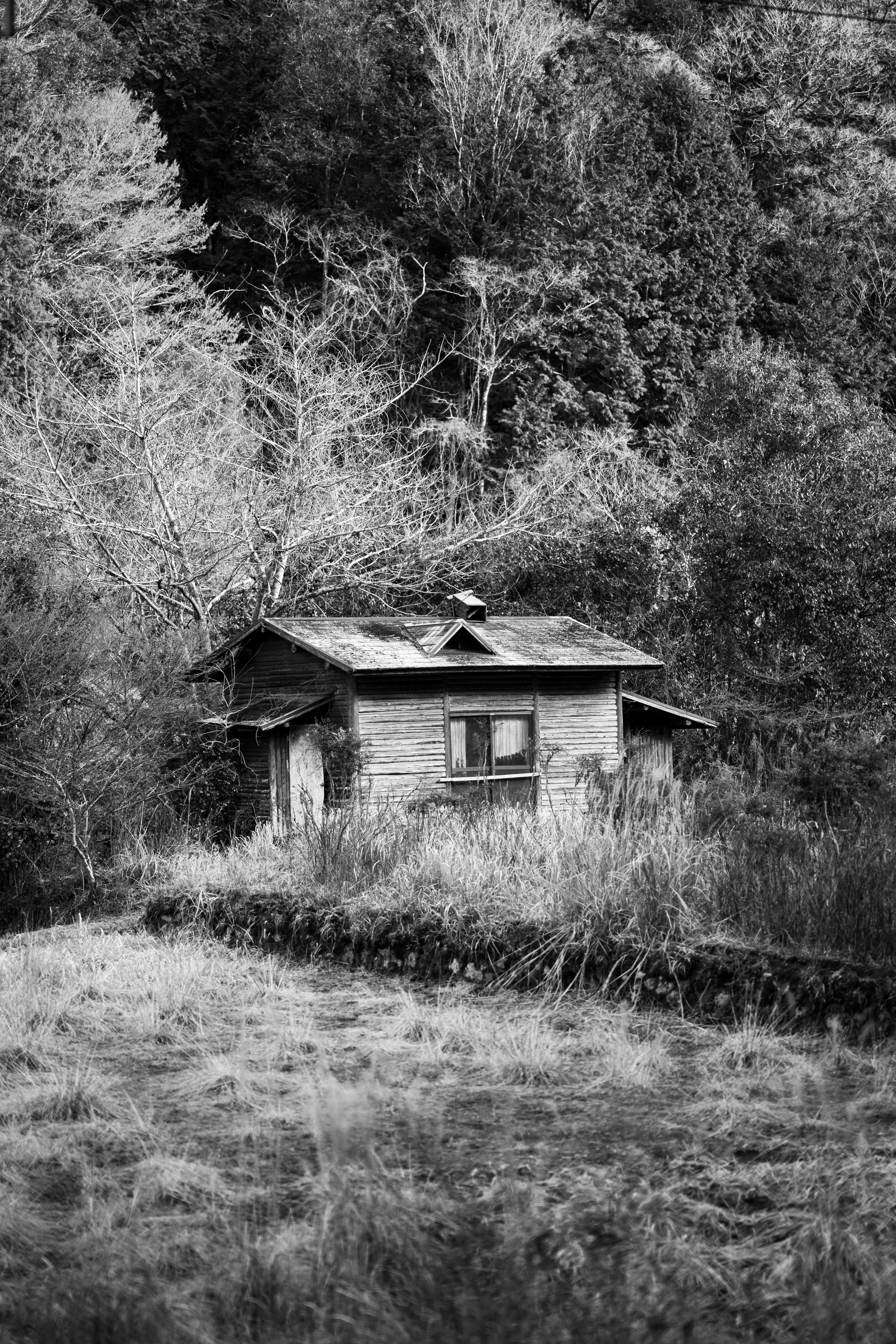 Photo by fabianbaechli