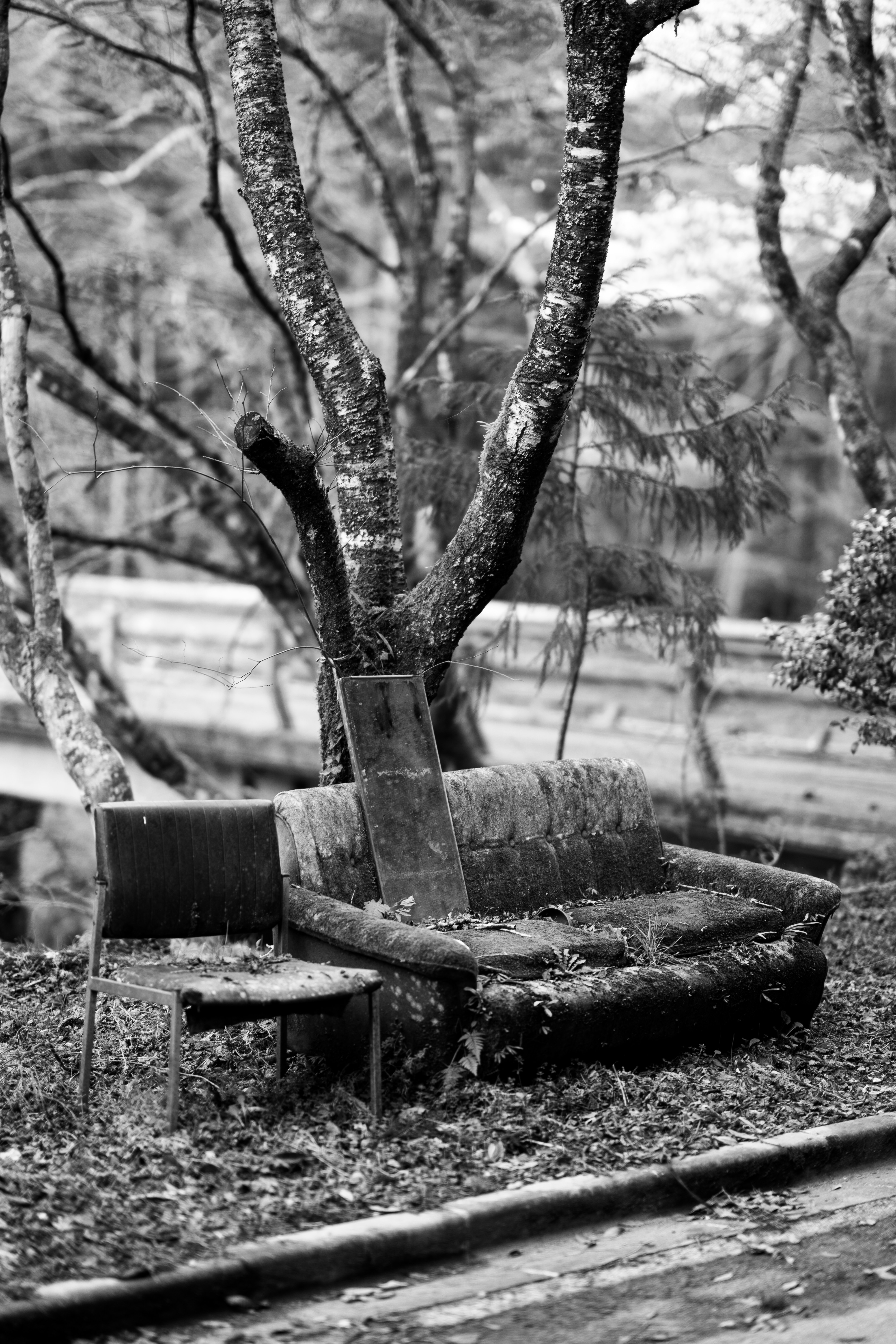 Photo by fabianbaechli