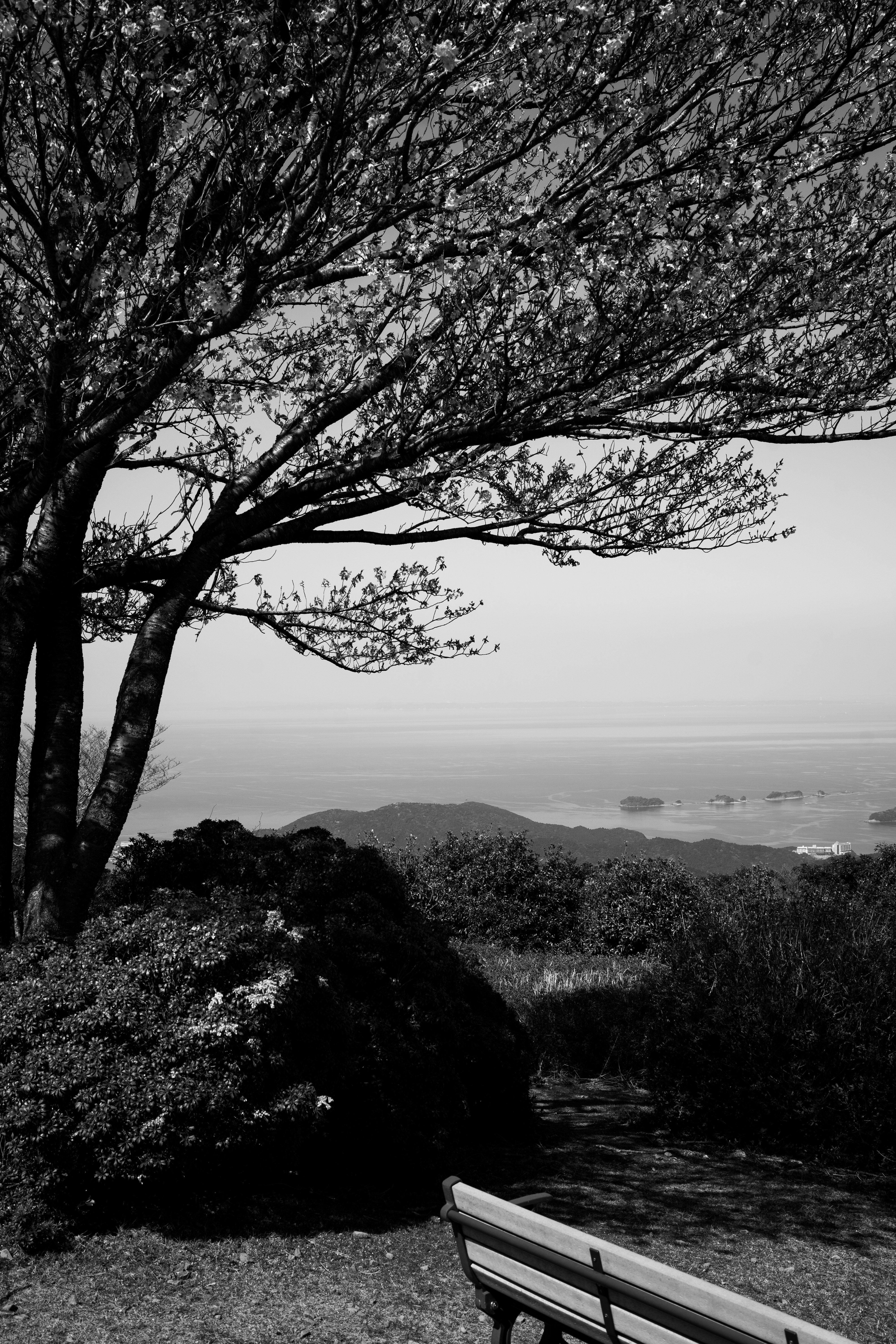 Photo by fabianbaechli