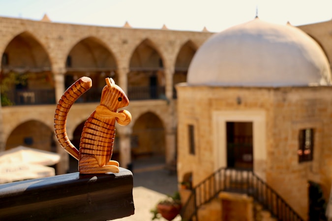 Nicosia, Cyprus — stroller score 56/100