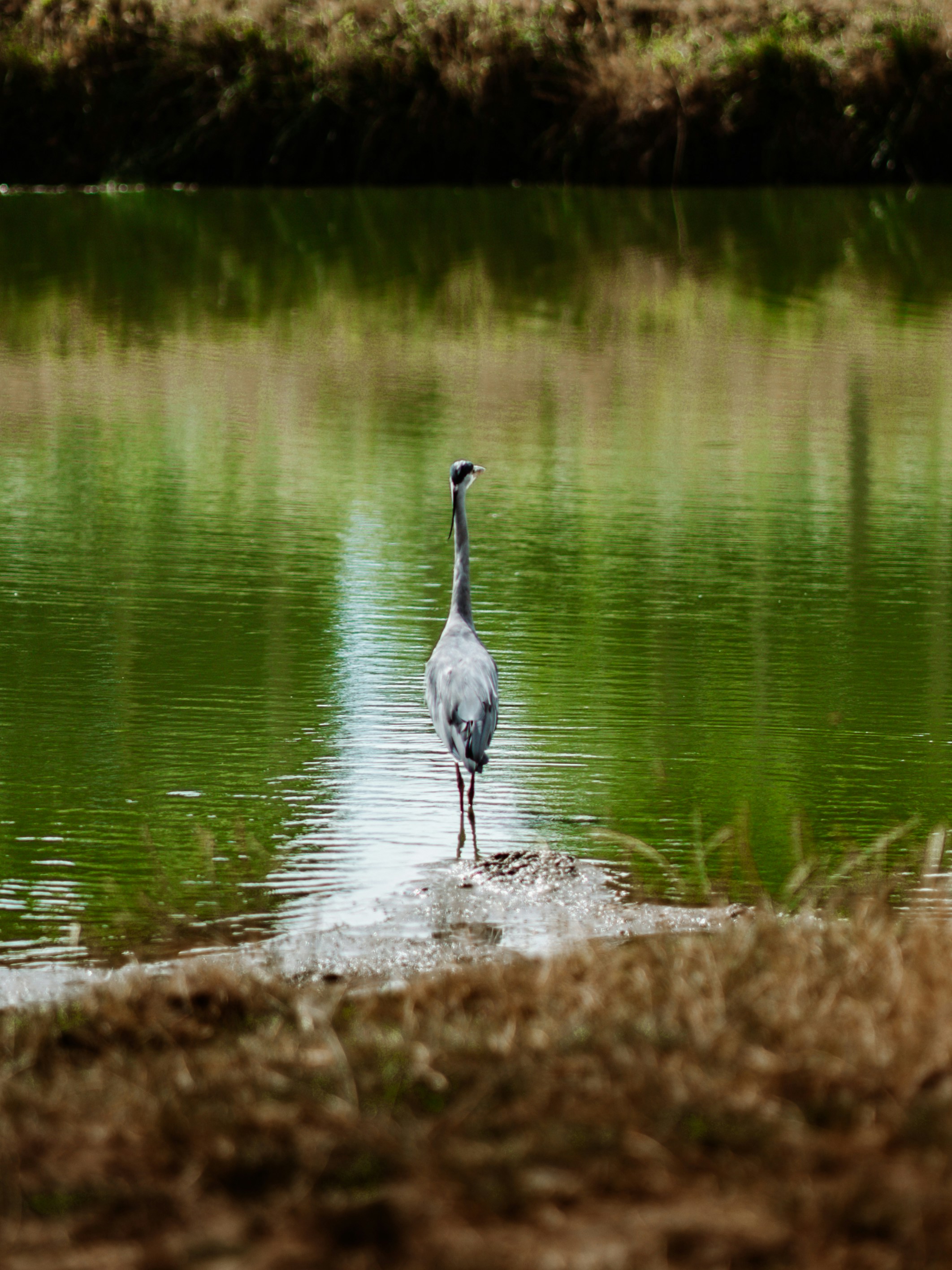 Photo by dixitdhinakaran