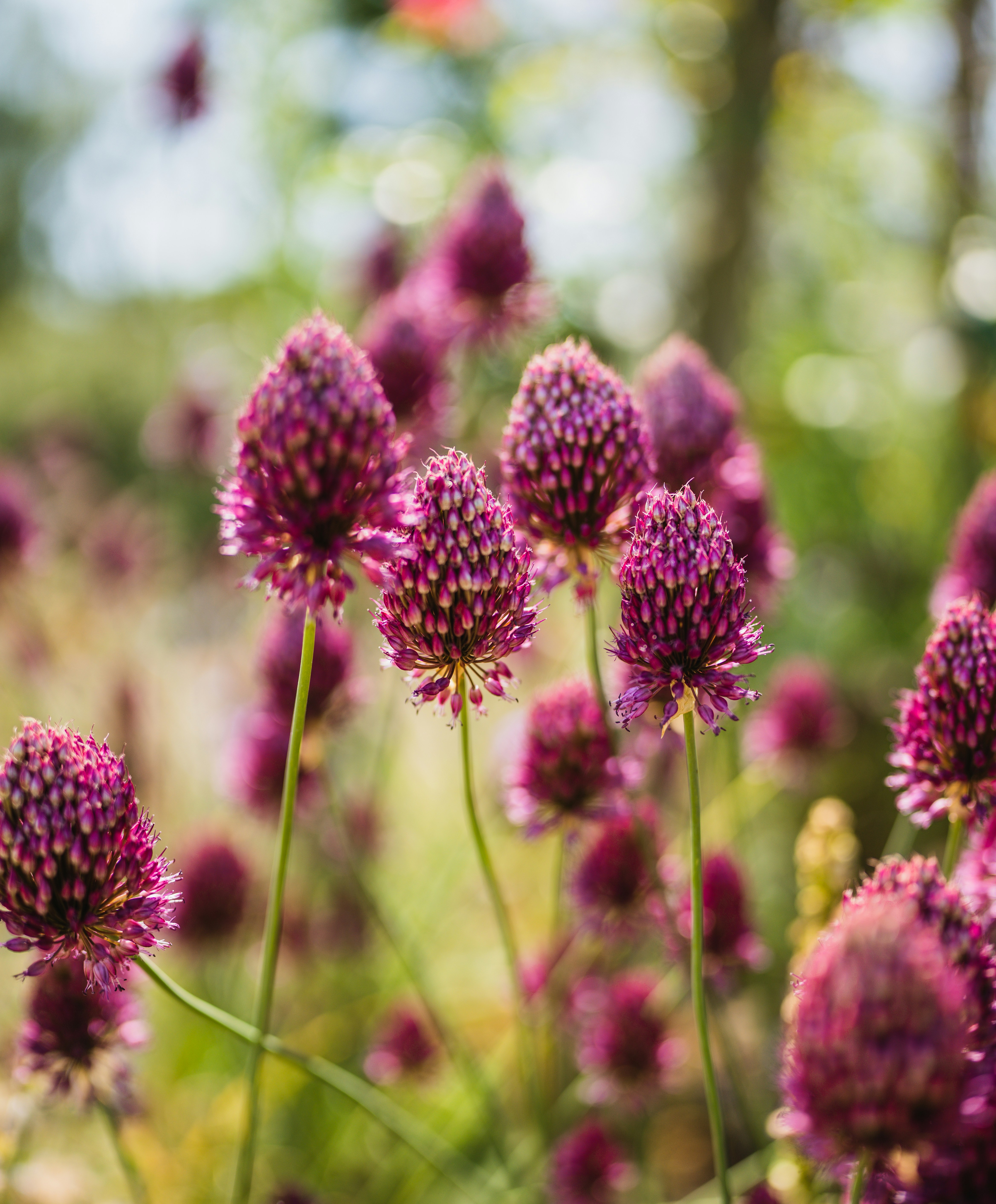 Photo by dixitdhinakaran