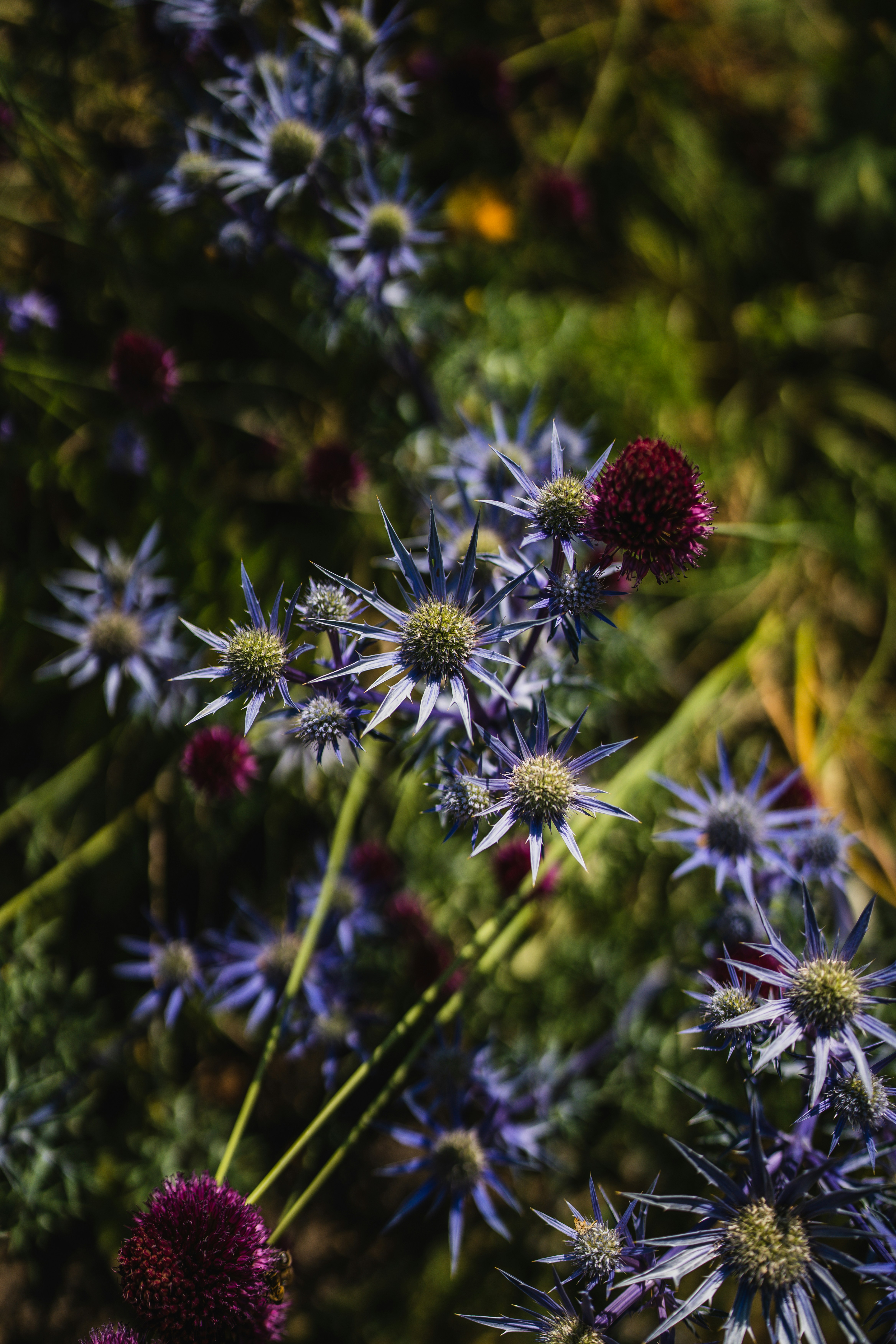 Photo by dixitdhinakaran