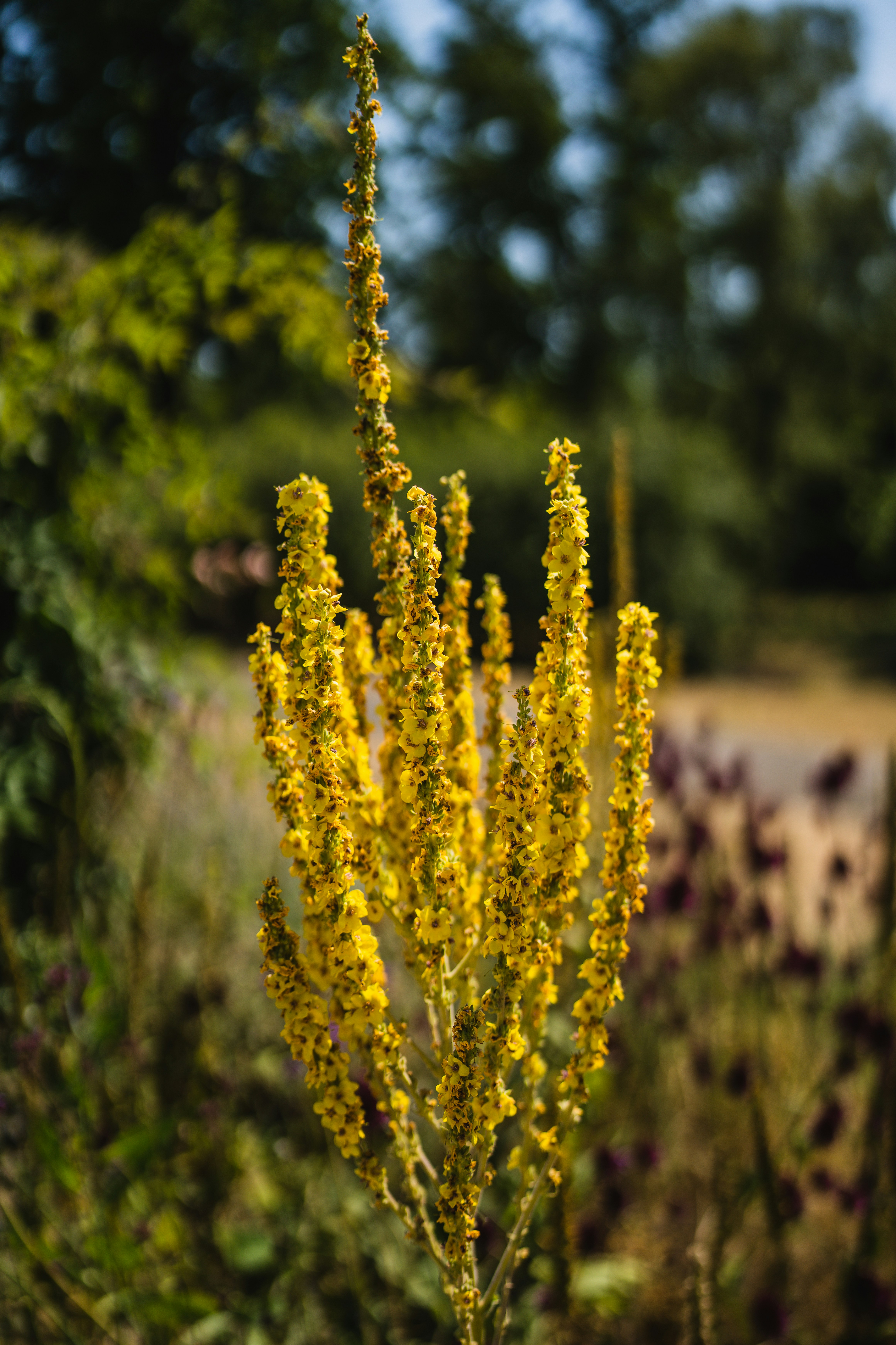 Photo by dixitdhinakaran