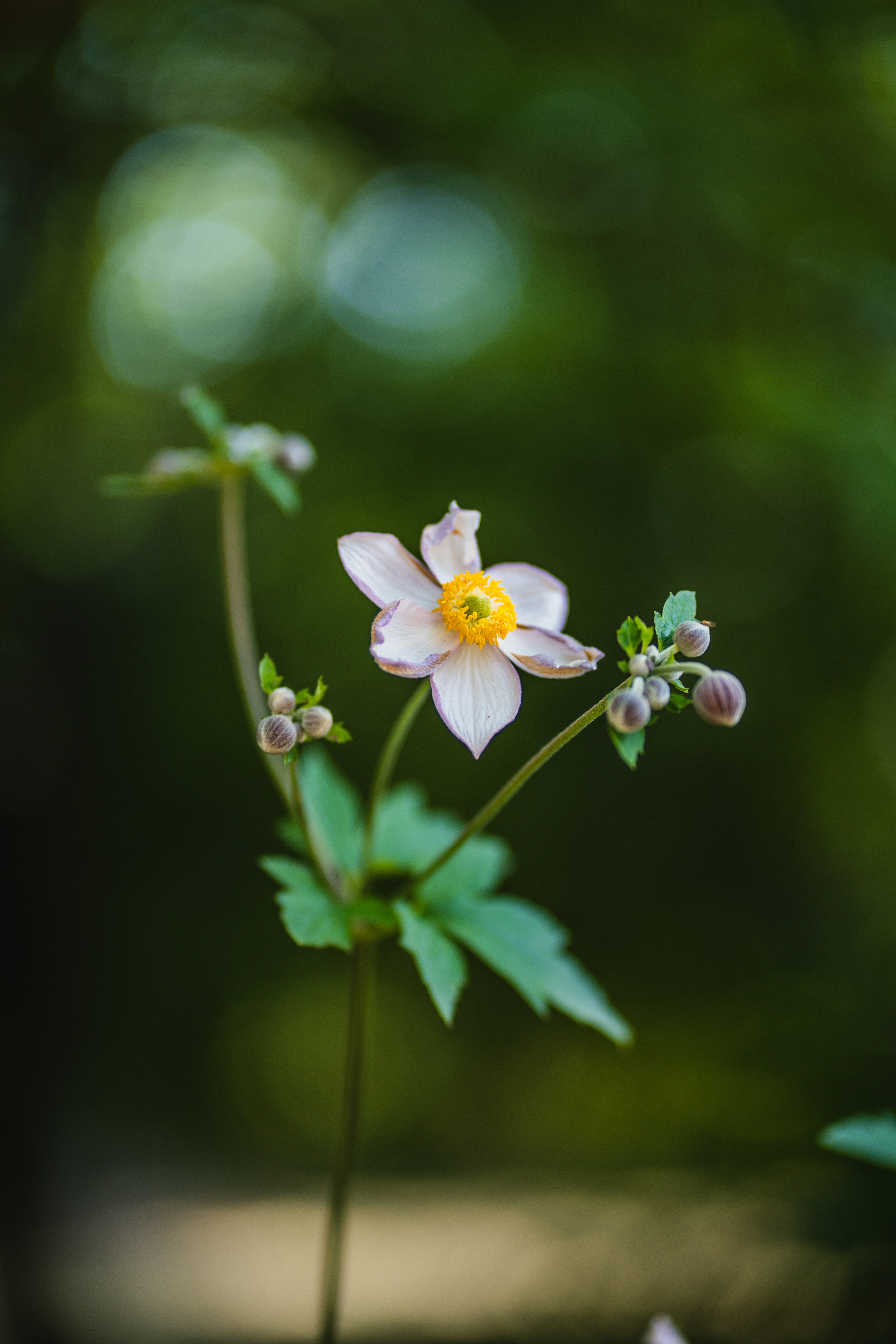 Photo by dixitdhinakaran