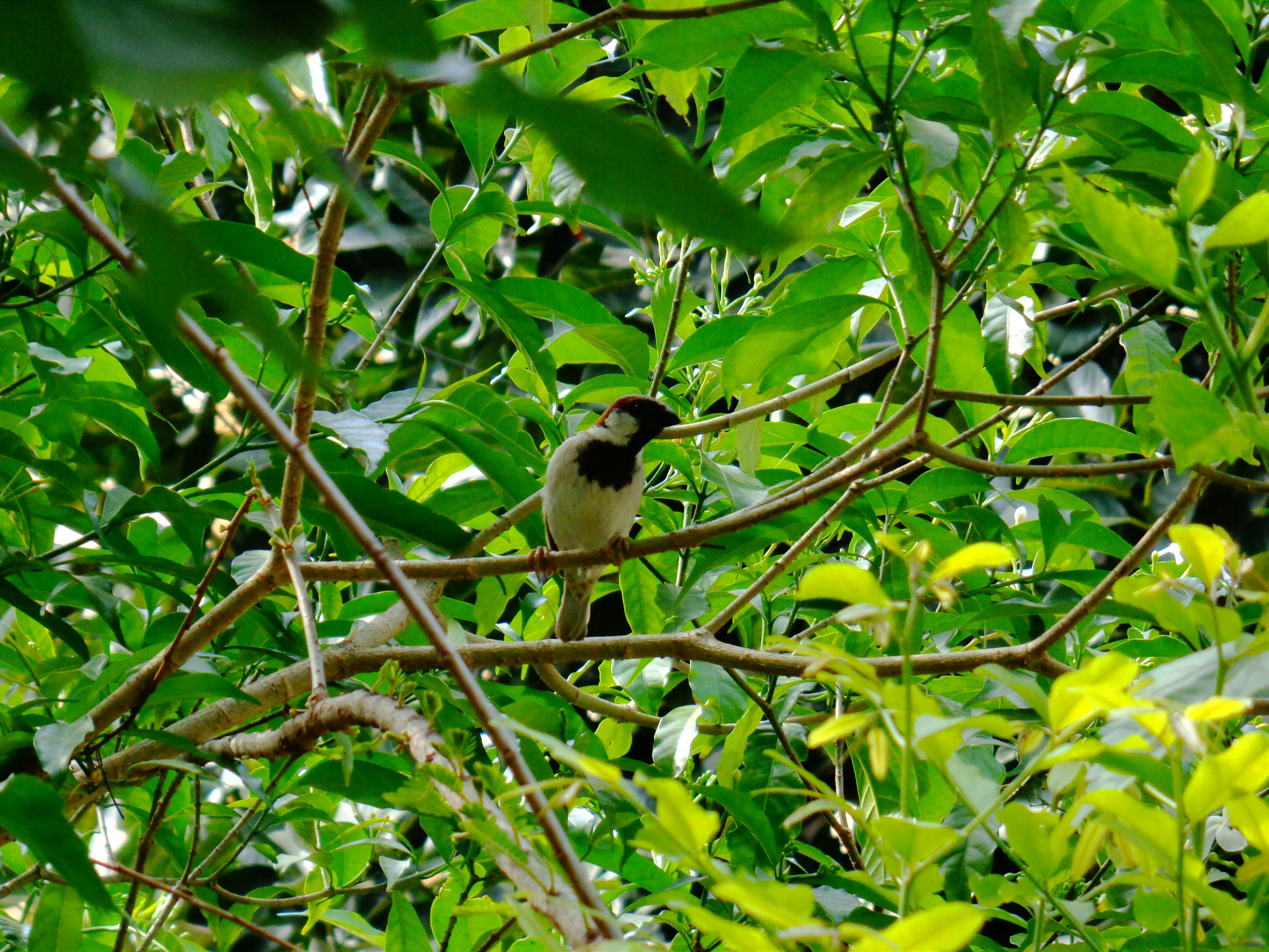 Photo by adityadoliya