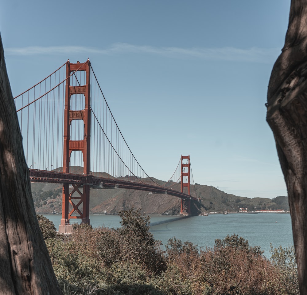 a view of the golden gate bridge from across the bay