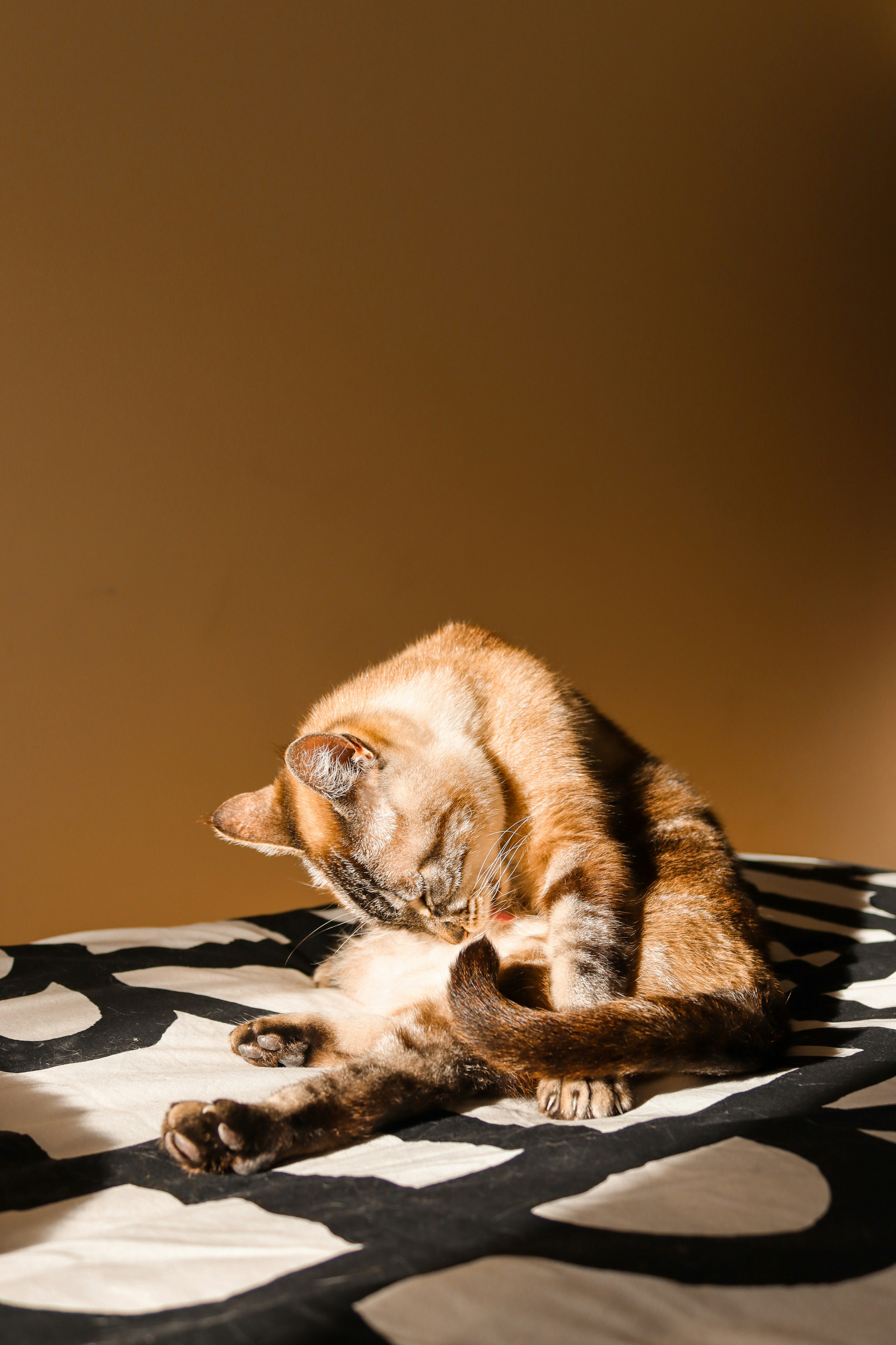 Photo by anavieiradesign