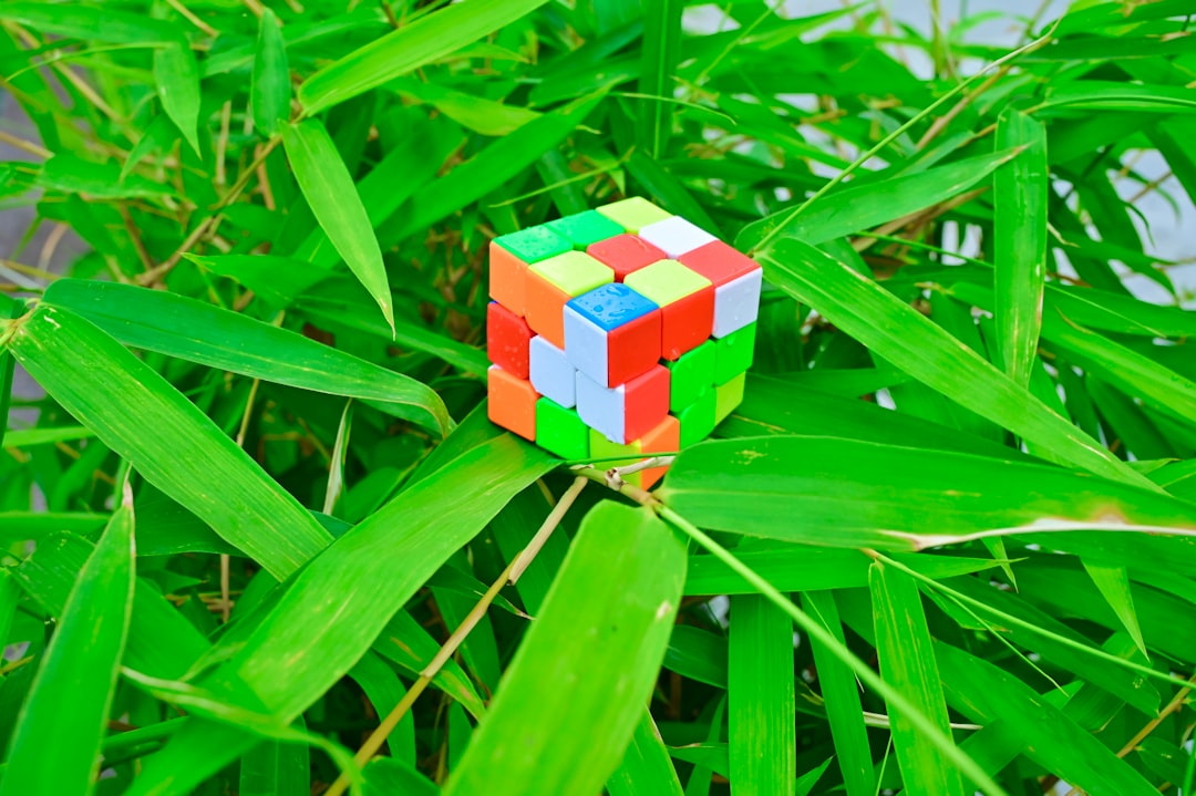 Rubik's Cube in Green Leaves
