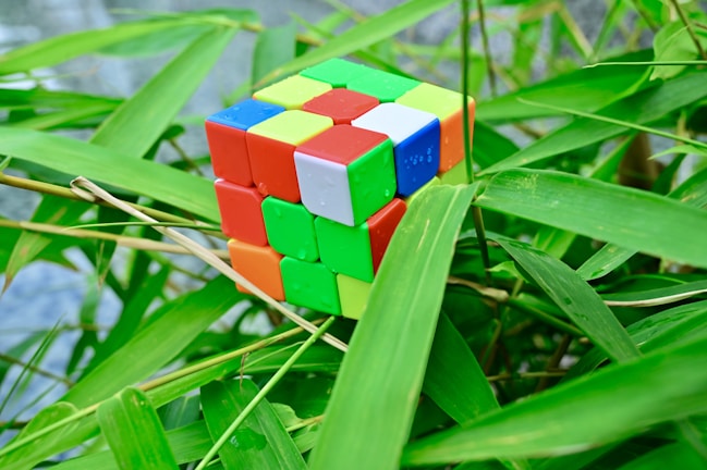 A colorful Rubik's Cube is nestled among lush green bamboo leaves. Drops of water are visible on the surface of the cube, indicating a fresh or dewy setting.