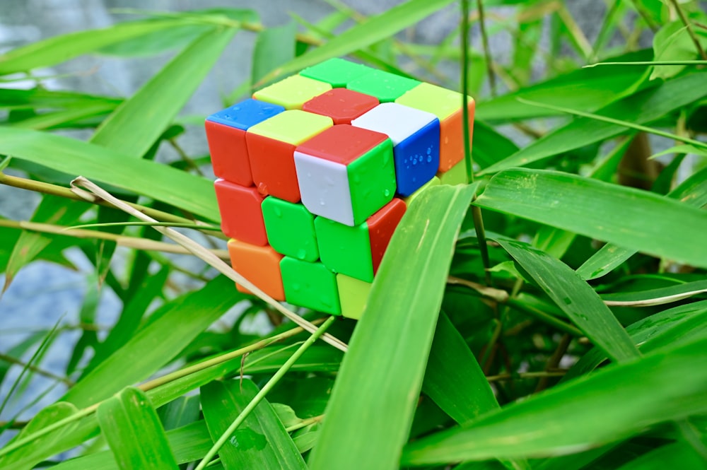 a rubik cube sitting on top of a lush green field