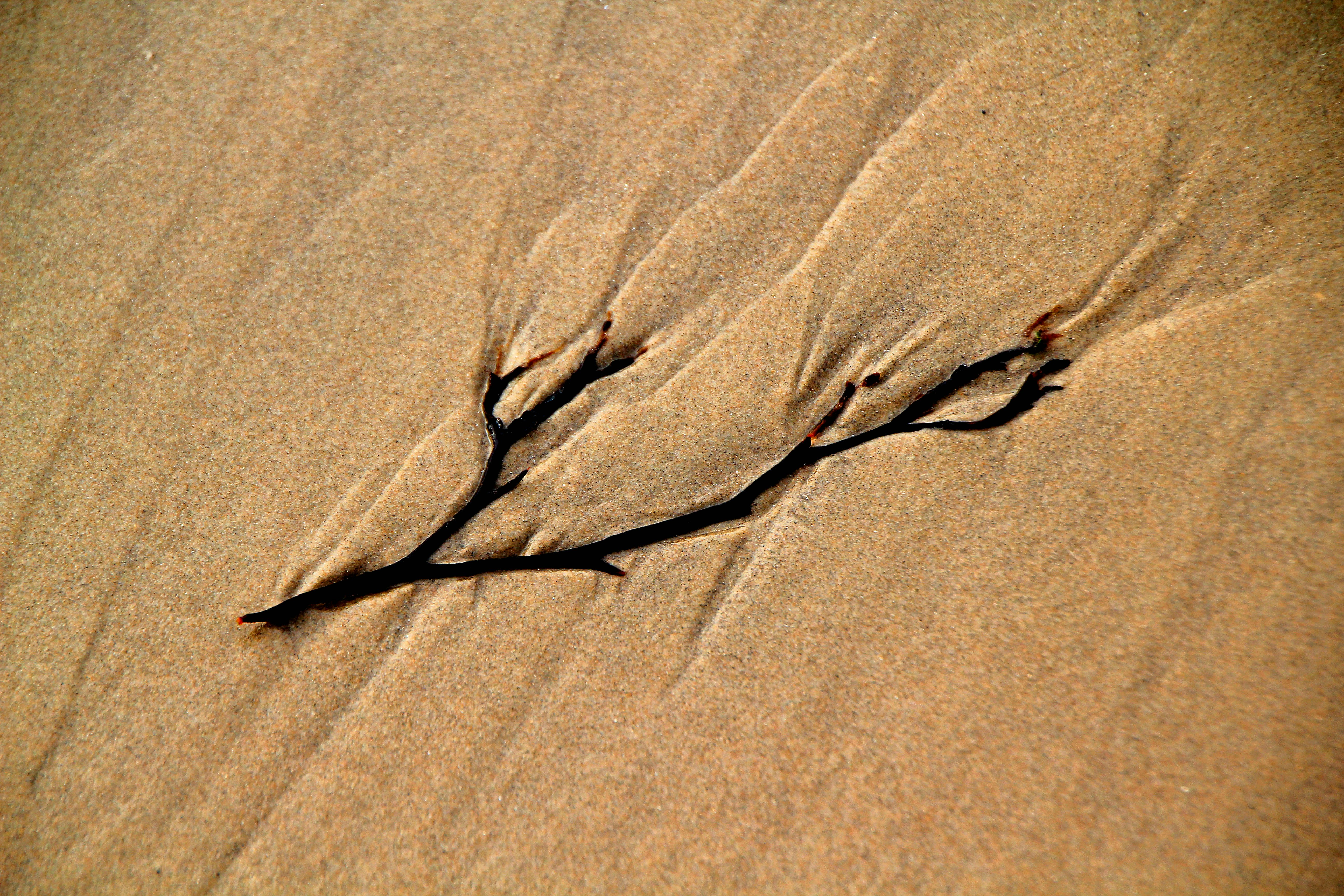 Photo by horst_joachims