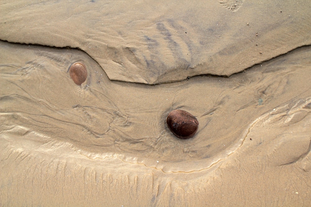 해변의 모래에서 튀어 나온 두 개의 바위