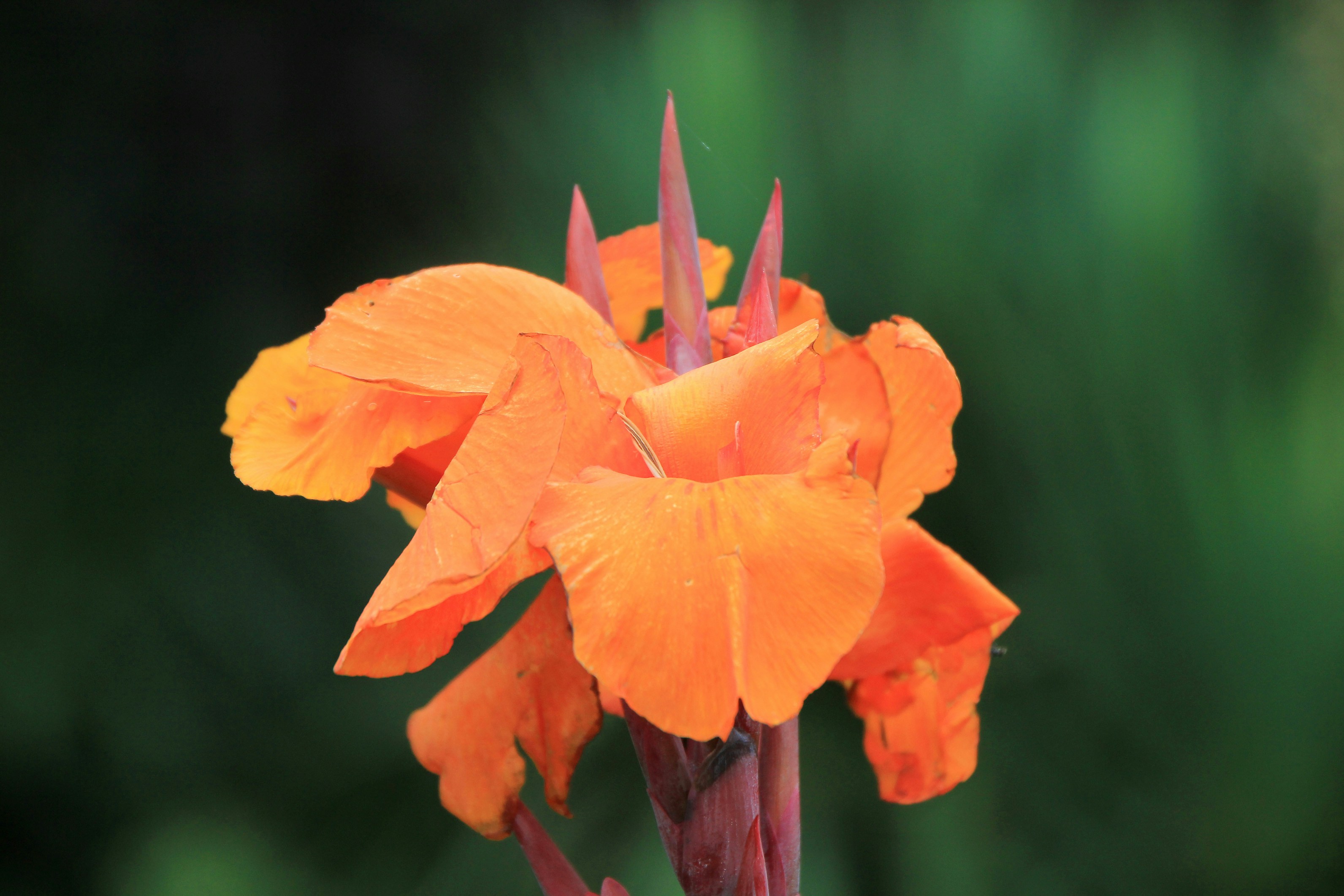 Photo by horst_joachims