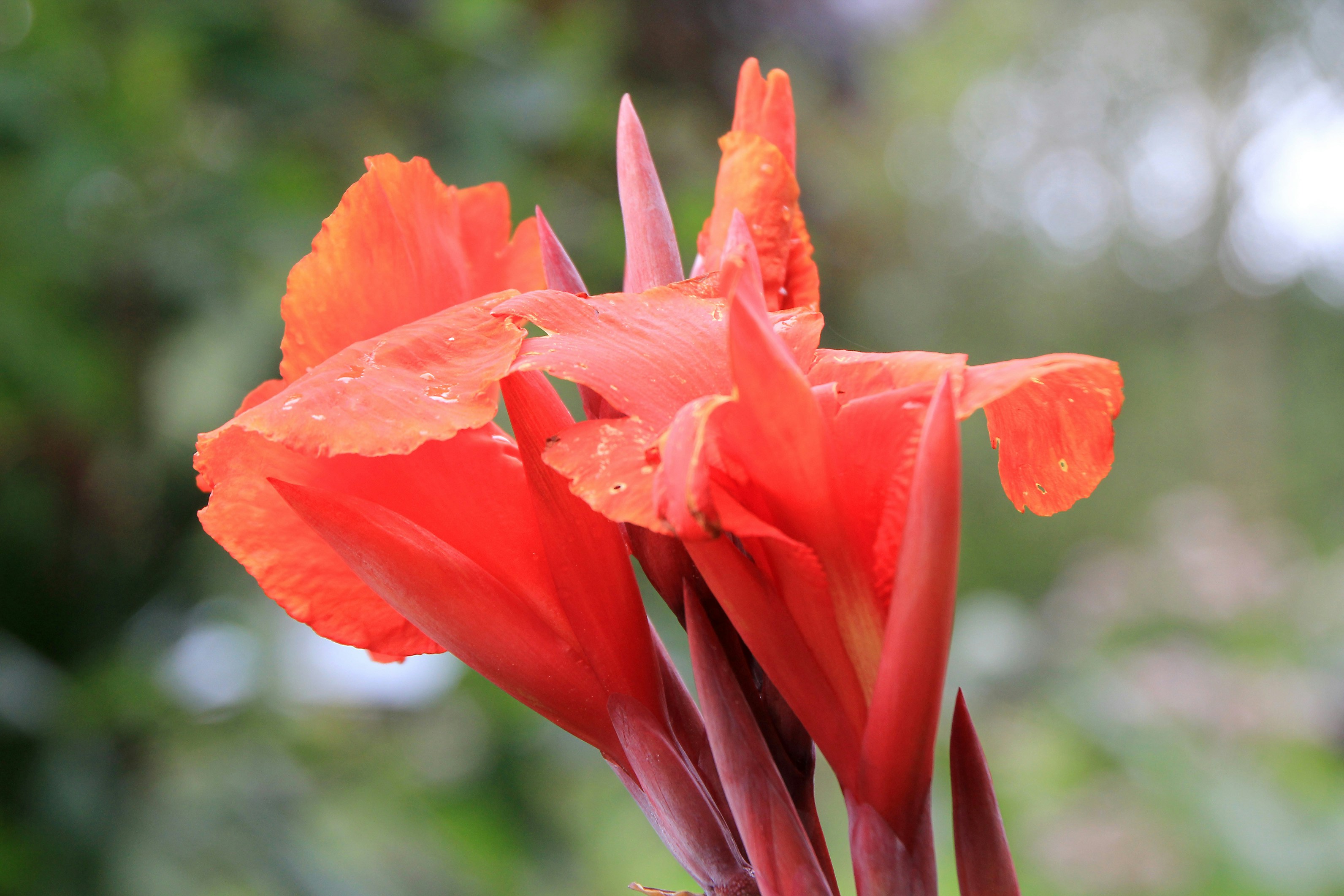 Photo by horst_joachims